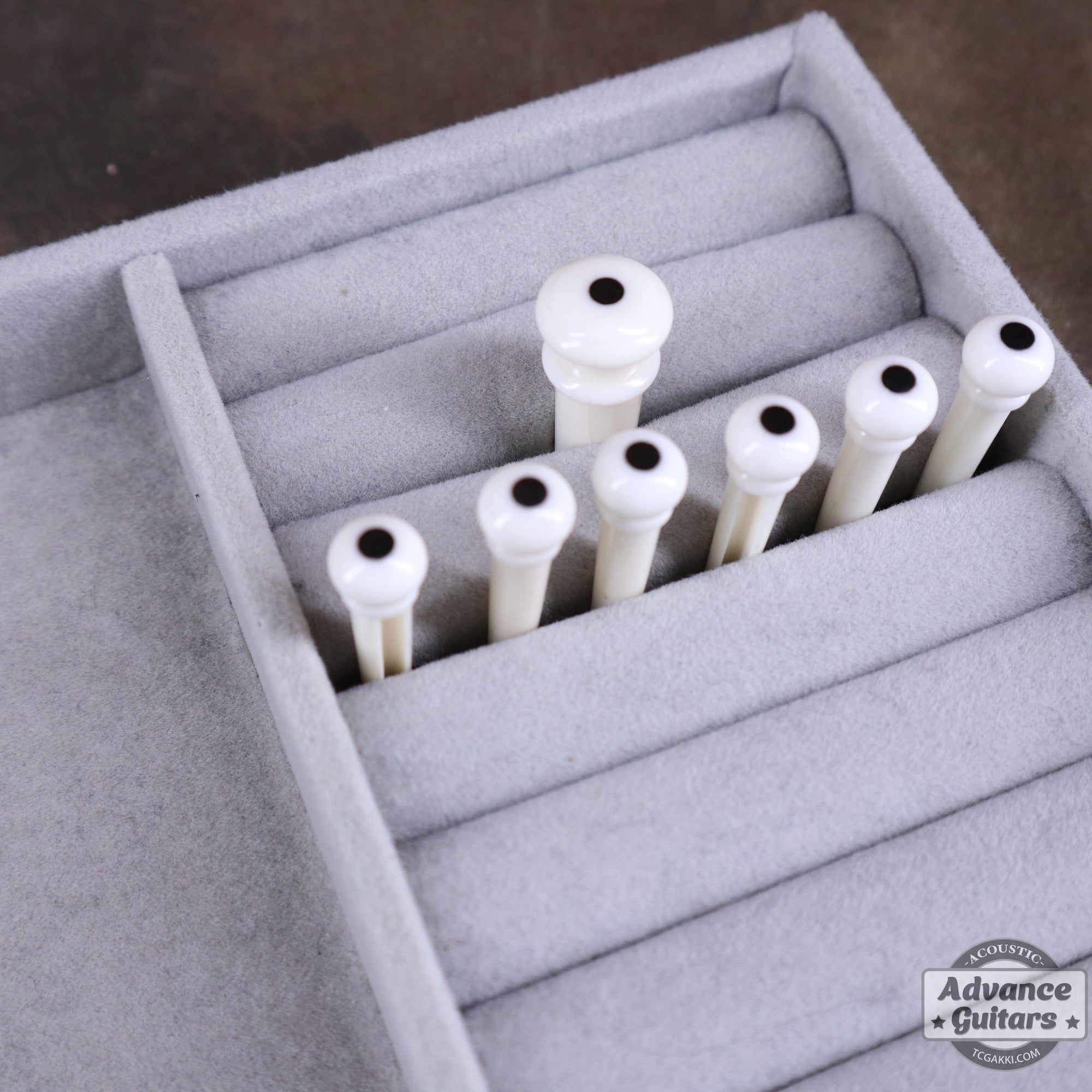 Preciso Bridge Pin & End Pin Set(Bone & Ebony Dot) - TC楽器 - TCGAKKI