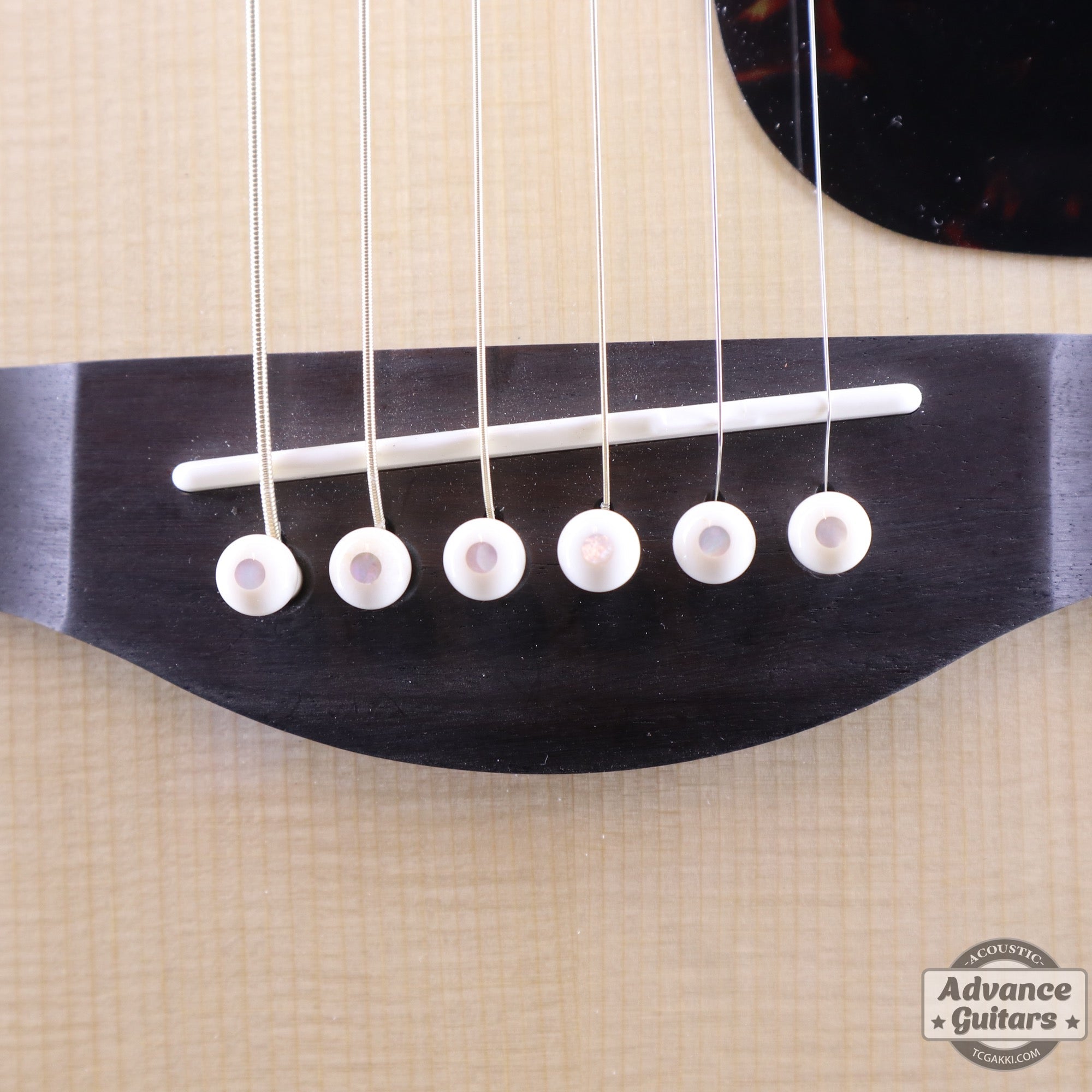 Preciso Bridge Pin & End Pin Set(Bone & Mother of Pearl Dot) - TC楽器 - TCGAKKI