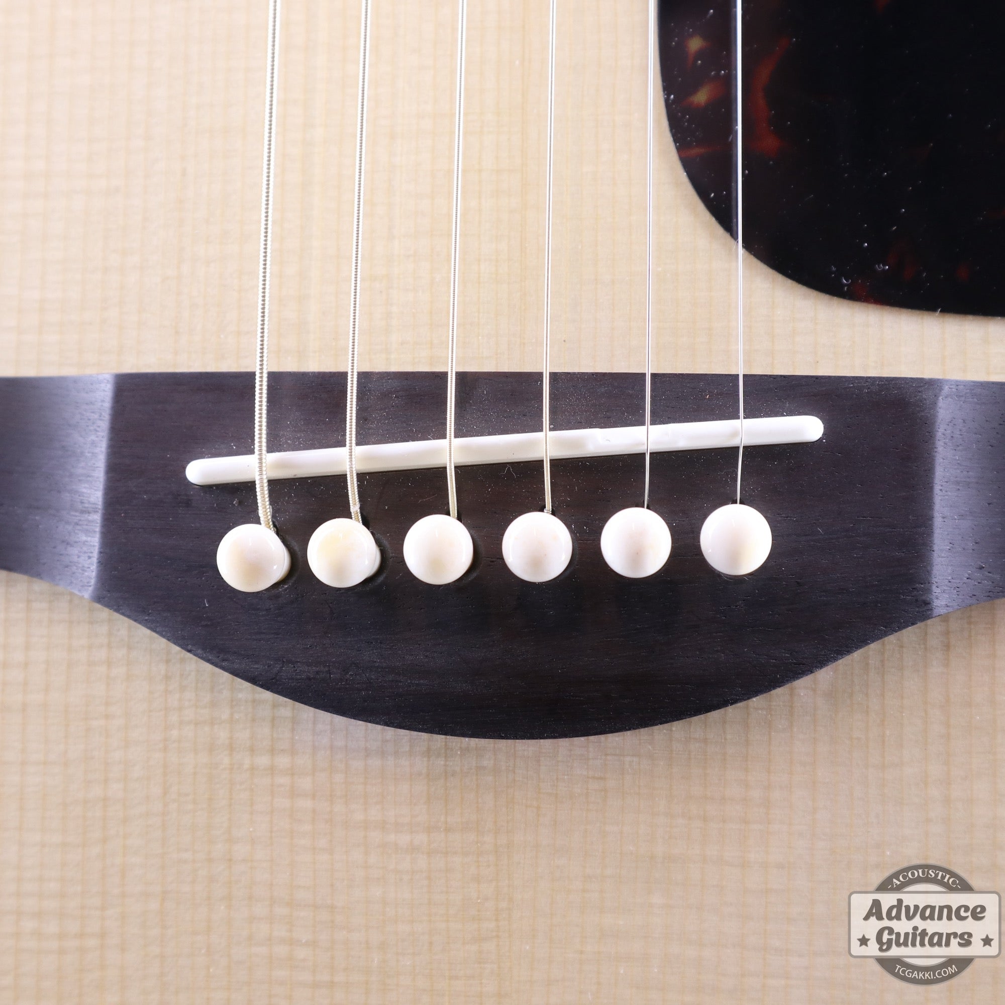 Preciso Bridge Pin & End Pin Set(Bone & Plain) - TC楽器 - TCGAKKI