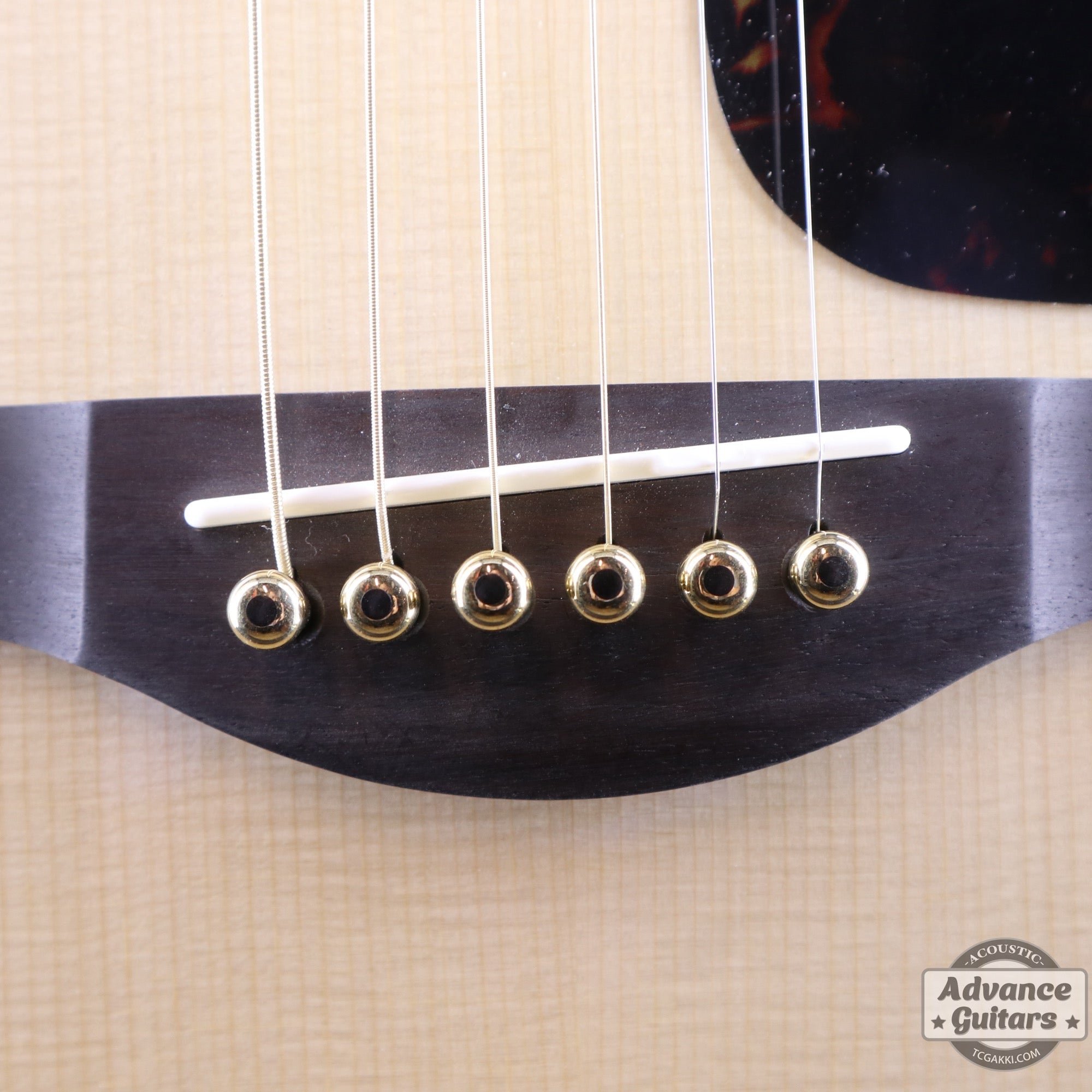 Preciso Bridge Pin & End Pin Set(Brass & Ebony Dot) - TC楽器 - TCGAKKI