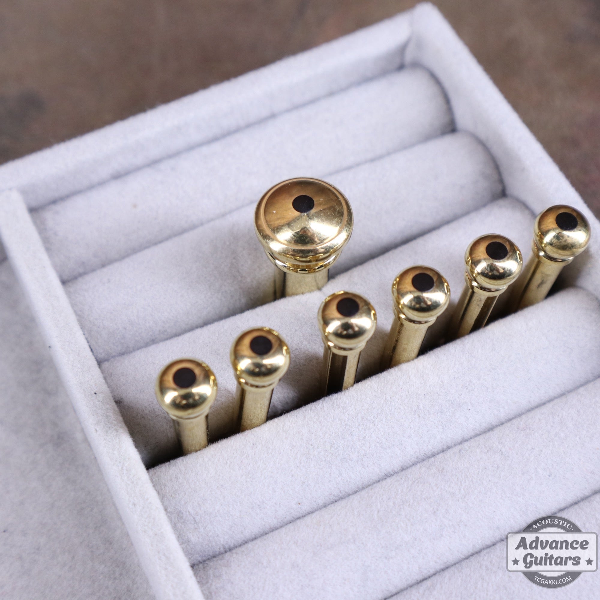 Preciso Bridge Pin & End Pin Set(Brass & Ebony Dot) - TC楽器 - TCGAKKI
