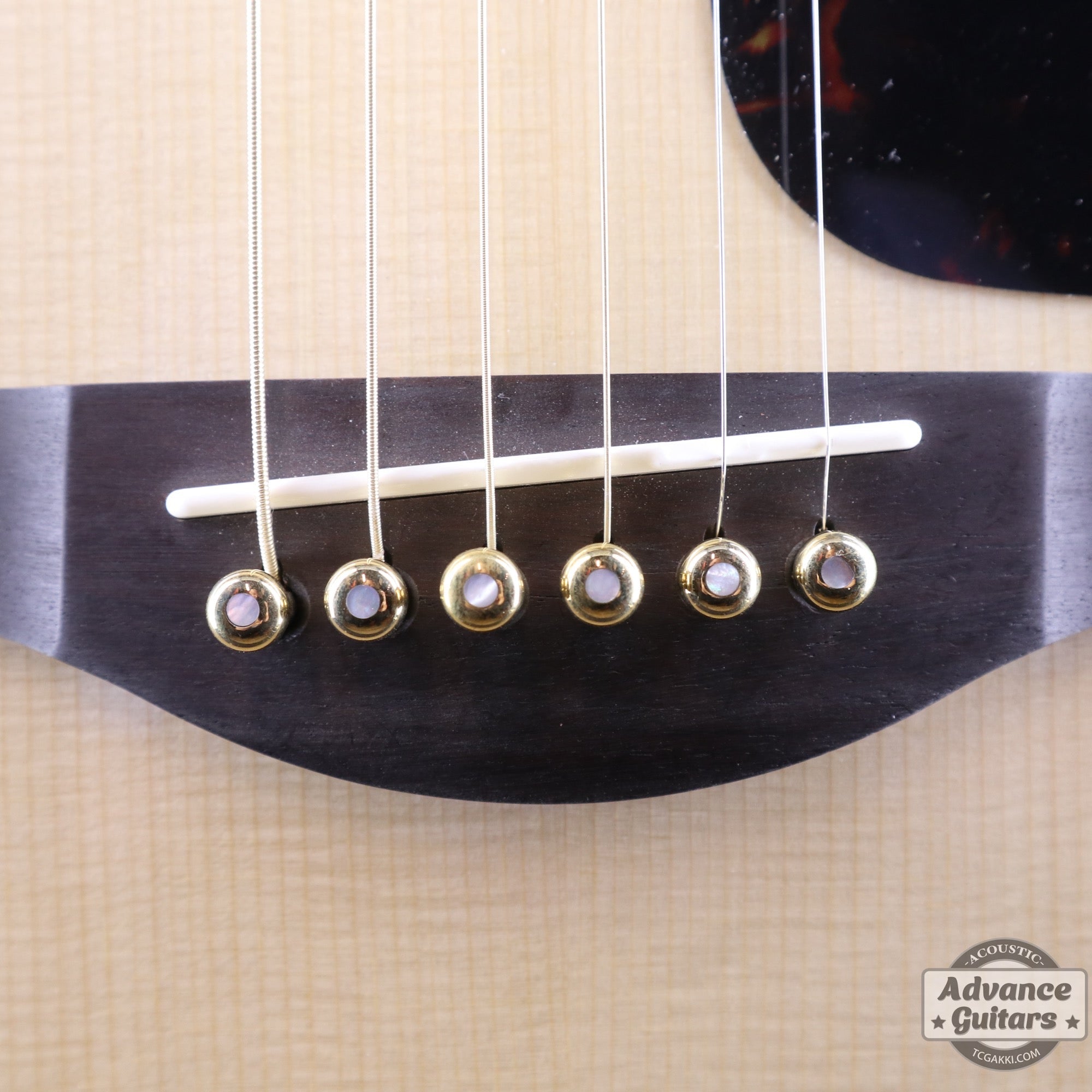 Preciso Bridge Pin & End Pin Set(Brass & Mother of Pearl Dot) - TC楽器 - TCGAKKI