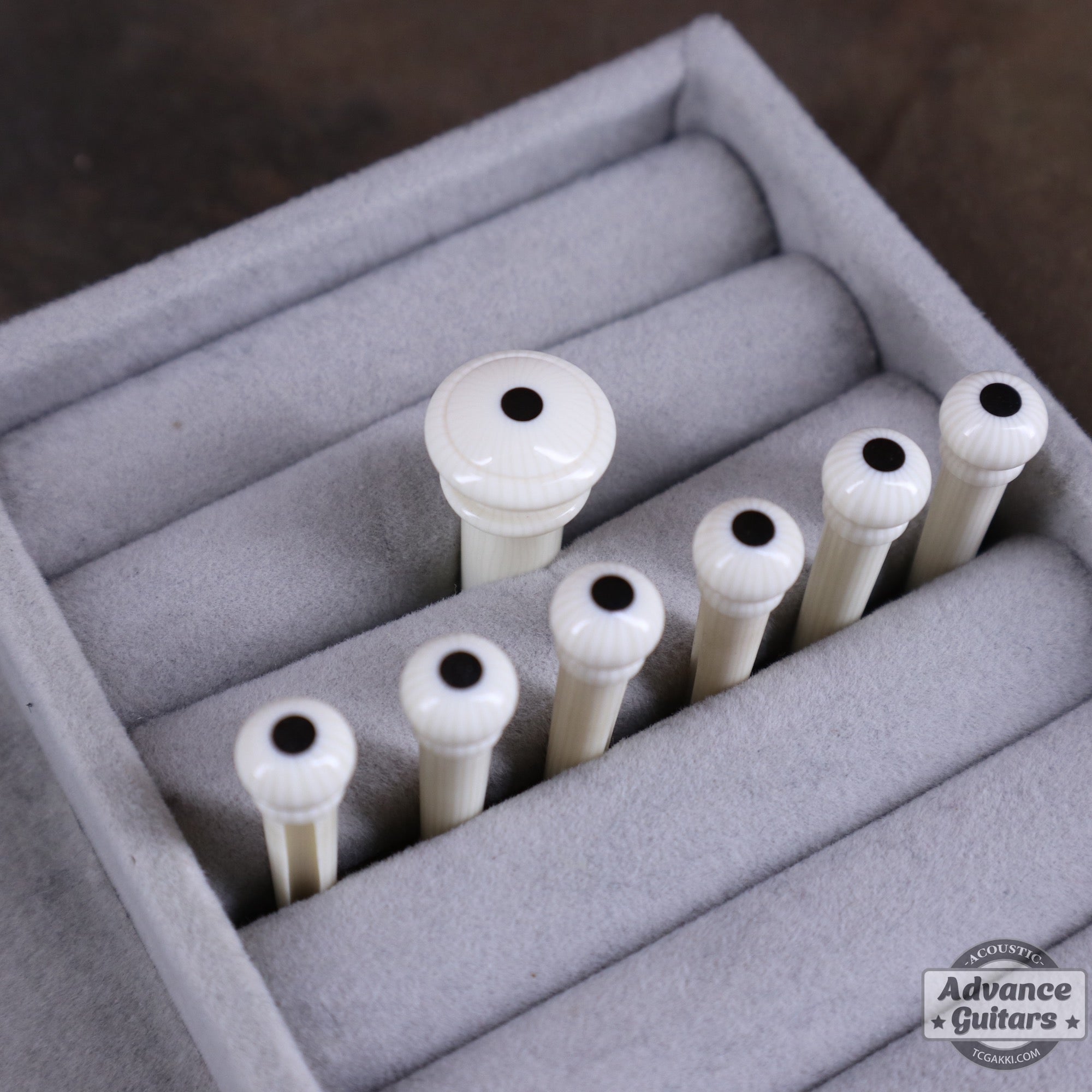 Preciso Bridge Pin & End Pin Set(Galalith Ivoroid & Ebony Dot) - TC楽器 - TCGAKKI