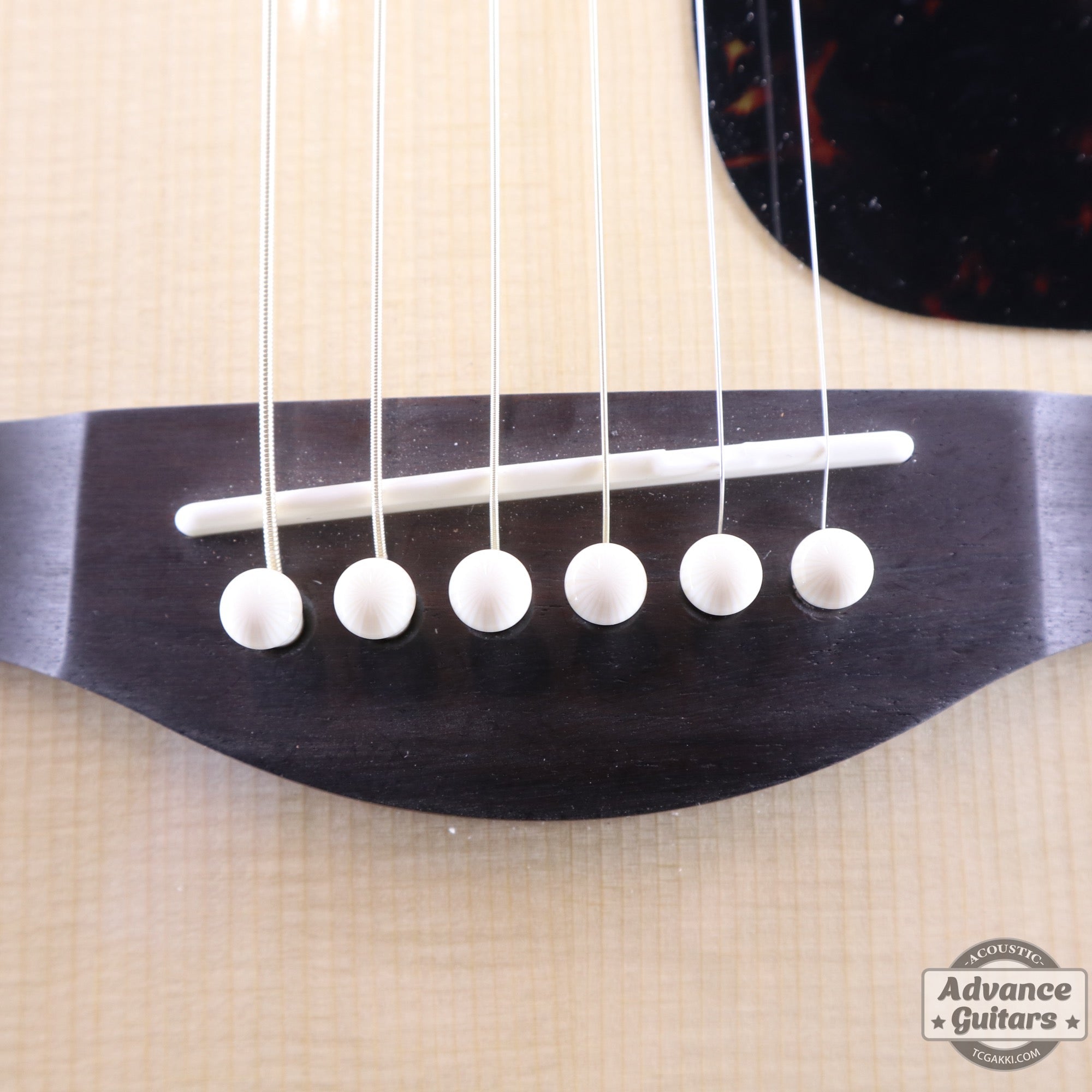 Preciso Bridge Pin & End Pin Set(Galalith Ivoroid Plain) - TC楽器 - TCGAKKI