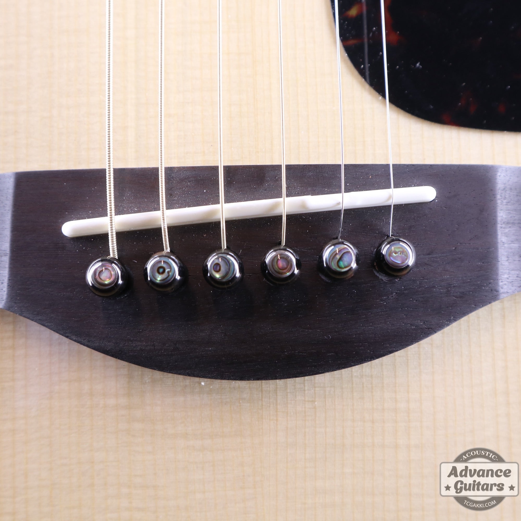 Preciso Domed Bone Bridge Pin & End Pin Set(Black Water Buffalo Horn & Abalone Pine) - TC楽器 - TCGAKKI