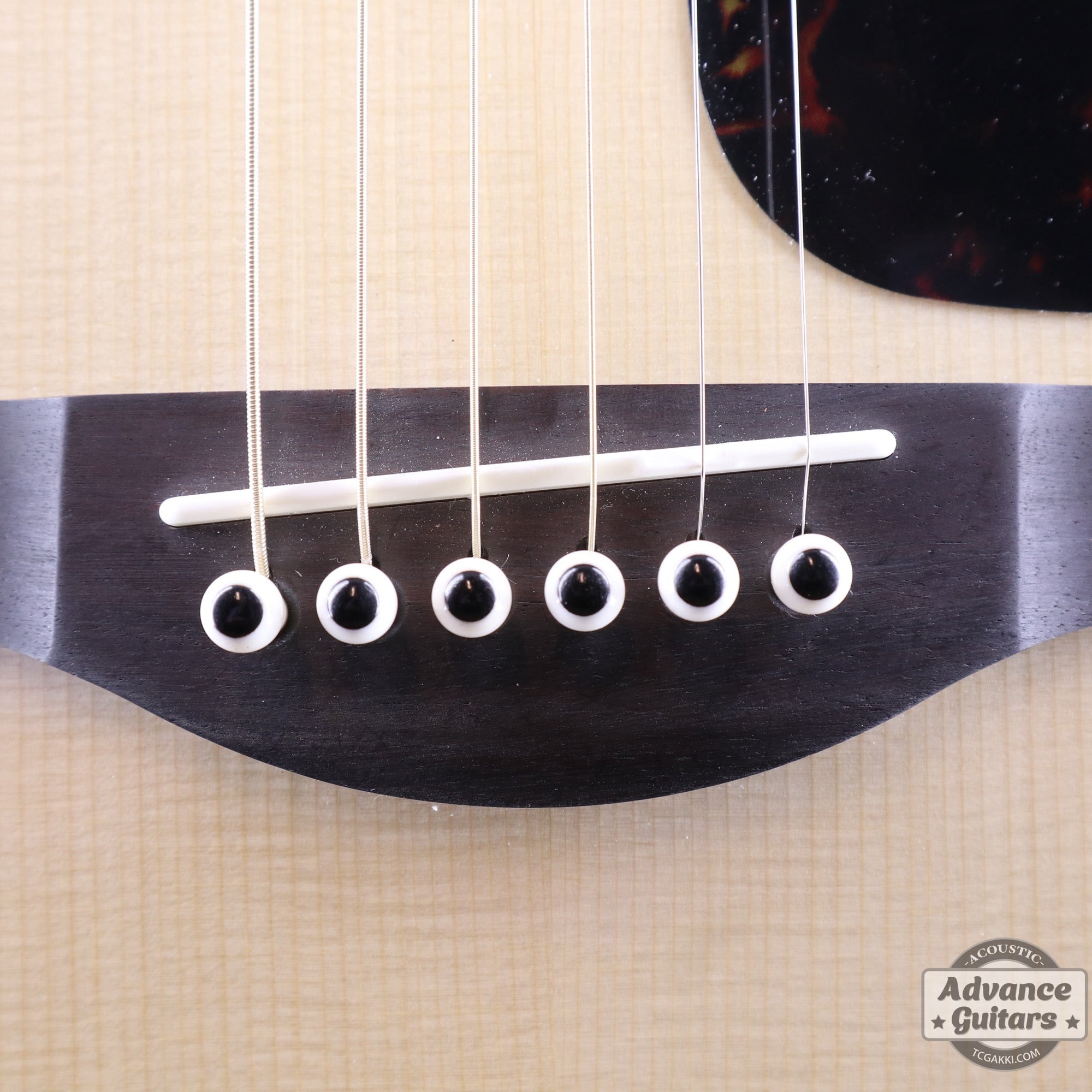 Preciso Domed Bridge Pin & End Pin Set(Bone & Ebony Dot) - TC楽器 - TCGAKKI