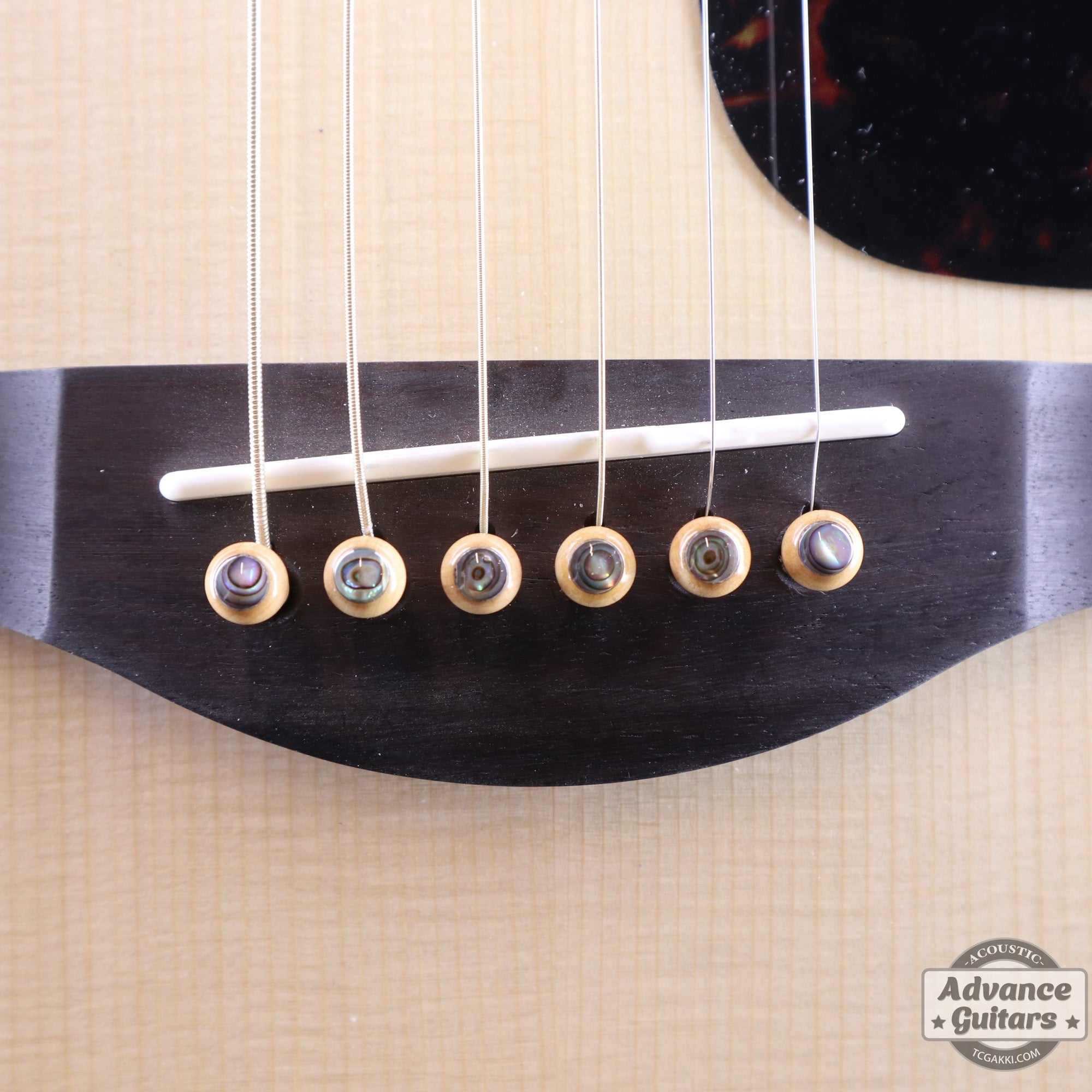 Preciso Domed Wood Bridge Pin & End Pin Set(Boxwood & Abalone Dot) - TC楽器 - TCGAKKI