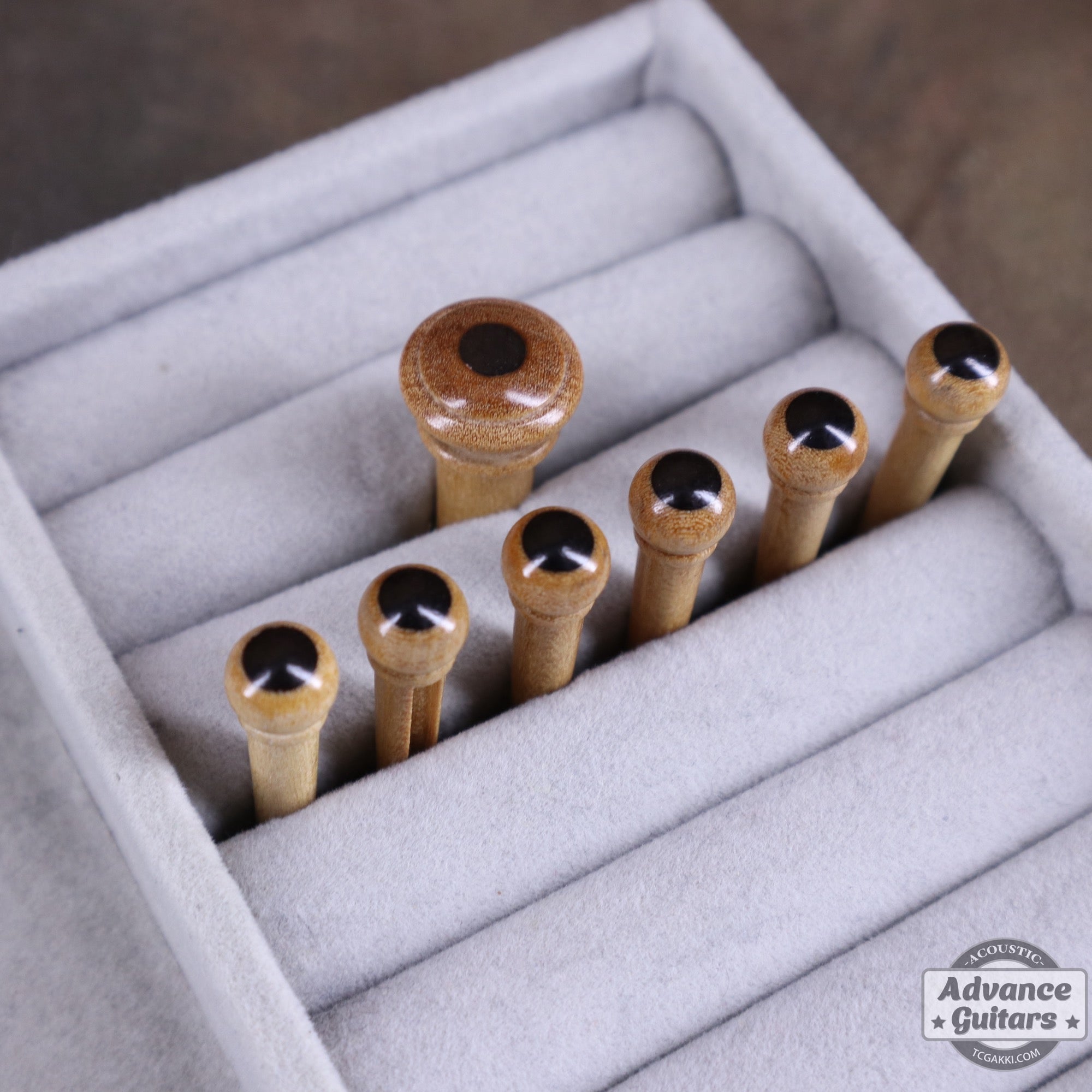 Preciso Domed Wood Bridge Pin & End Pin Set(Boxwood & Ebony Dot) - TC楽器 - TCGAKKI