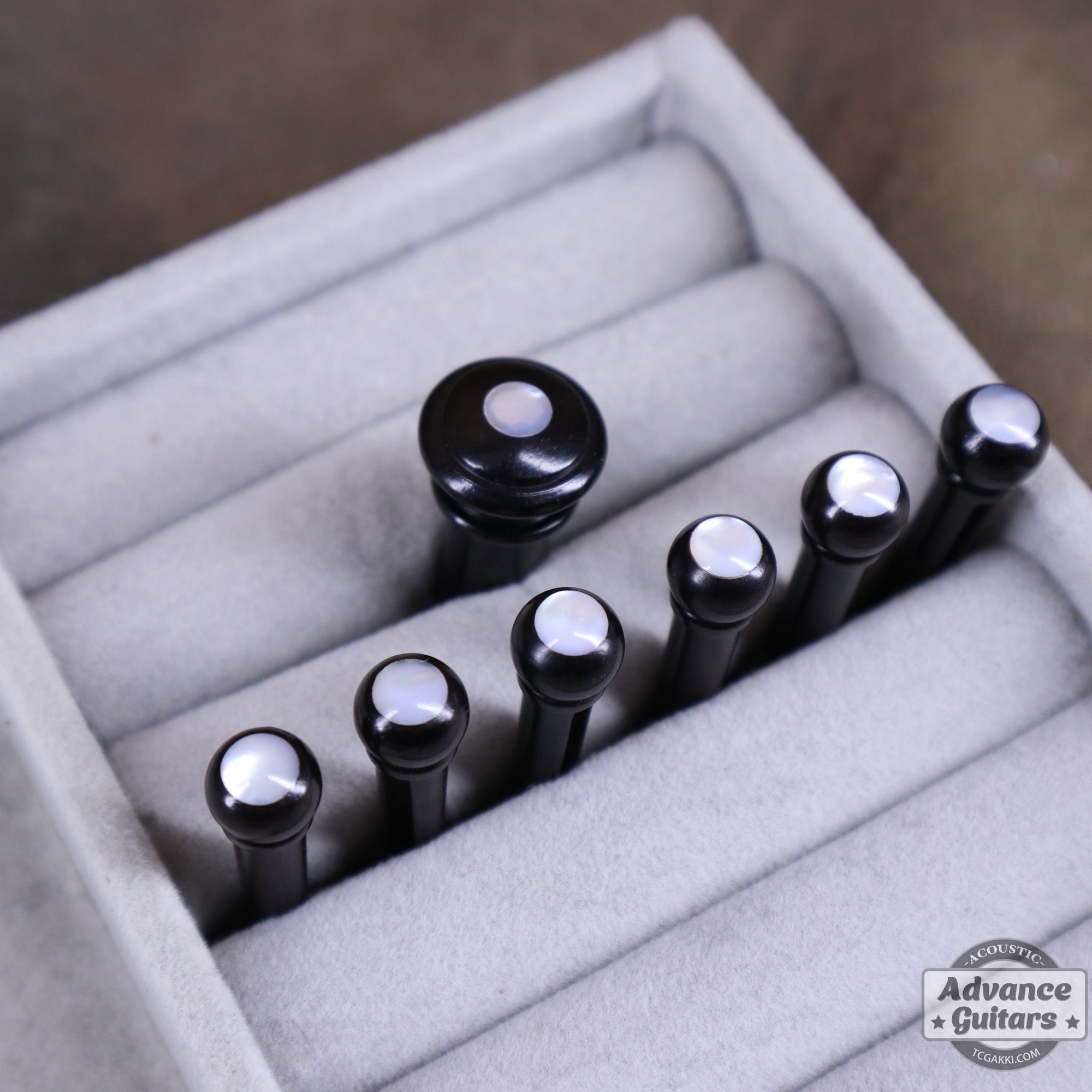 Preciso Domed Wood Bridge Pin & End Pin Set(Ebony & Mother of Pearl Dot) - TC楽器 - TCGAKKI
