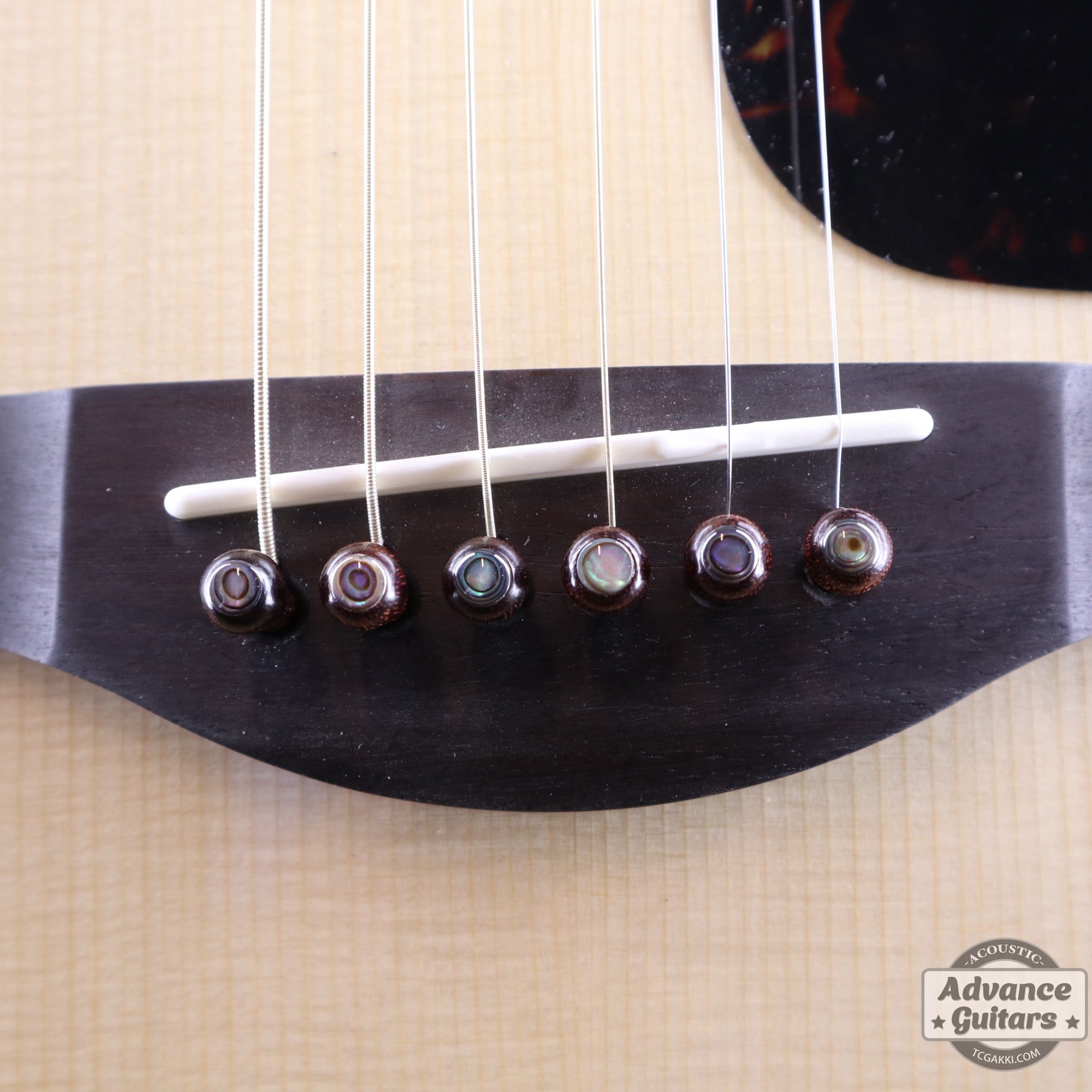 Preciso Domed Wood Bridge Pin & End Pin Set(Rosewood & Abalone Dot) - TC楽器 - TCGAKKI