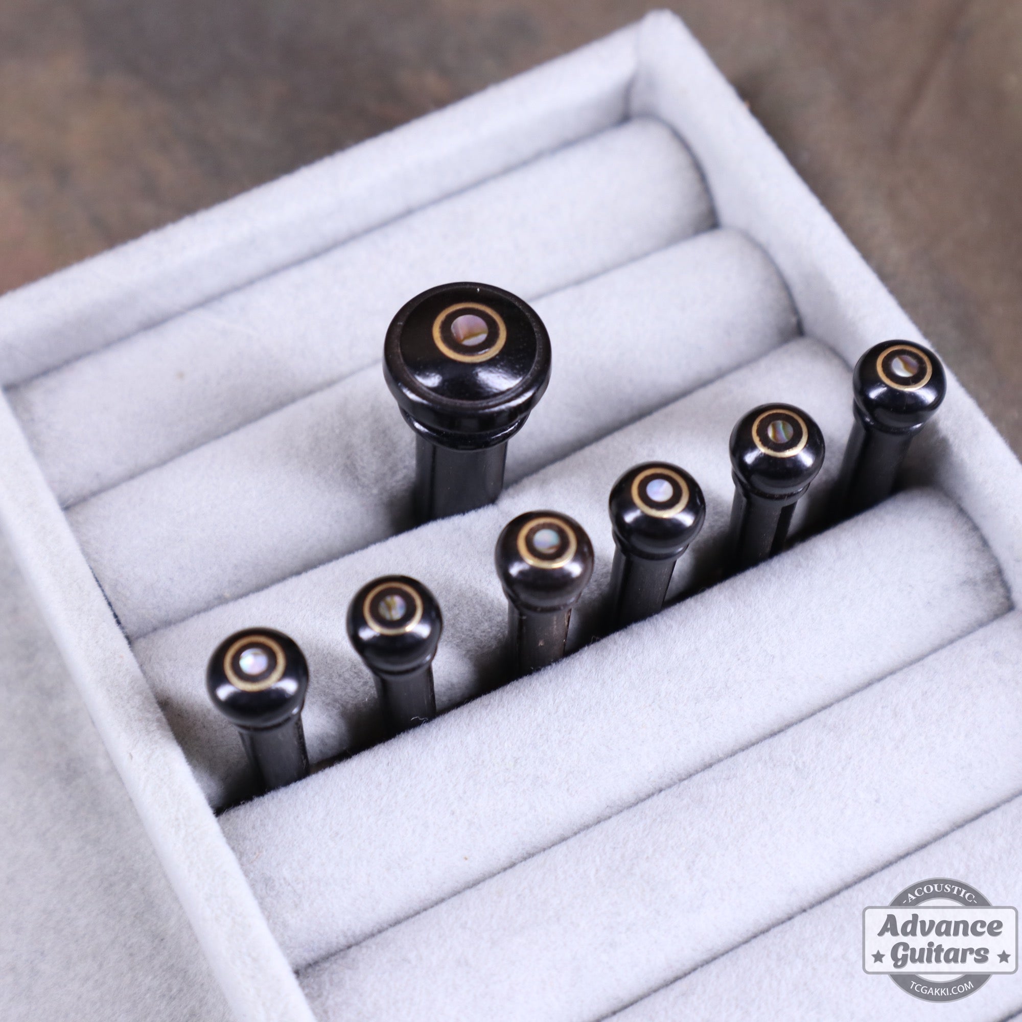 Preciso Wood Bridge Pin & End Pin Set(Abalone & Parisian Eye) - TC楽器 - TCGAKKI