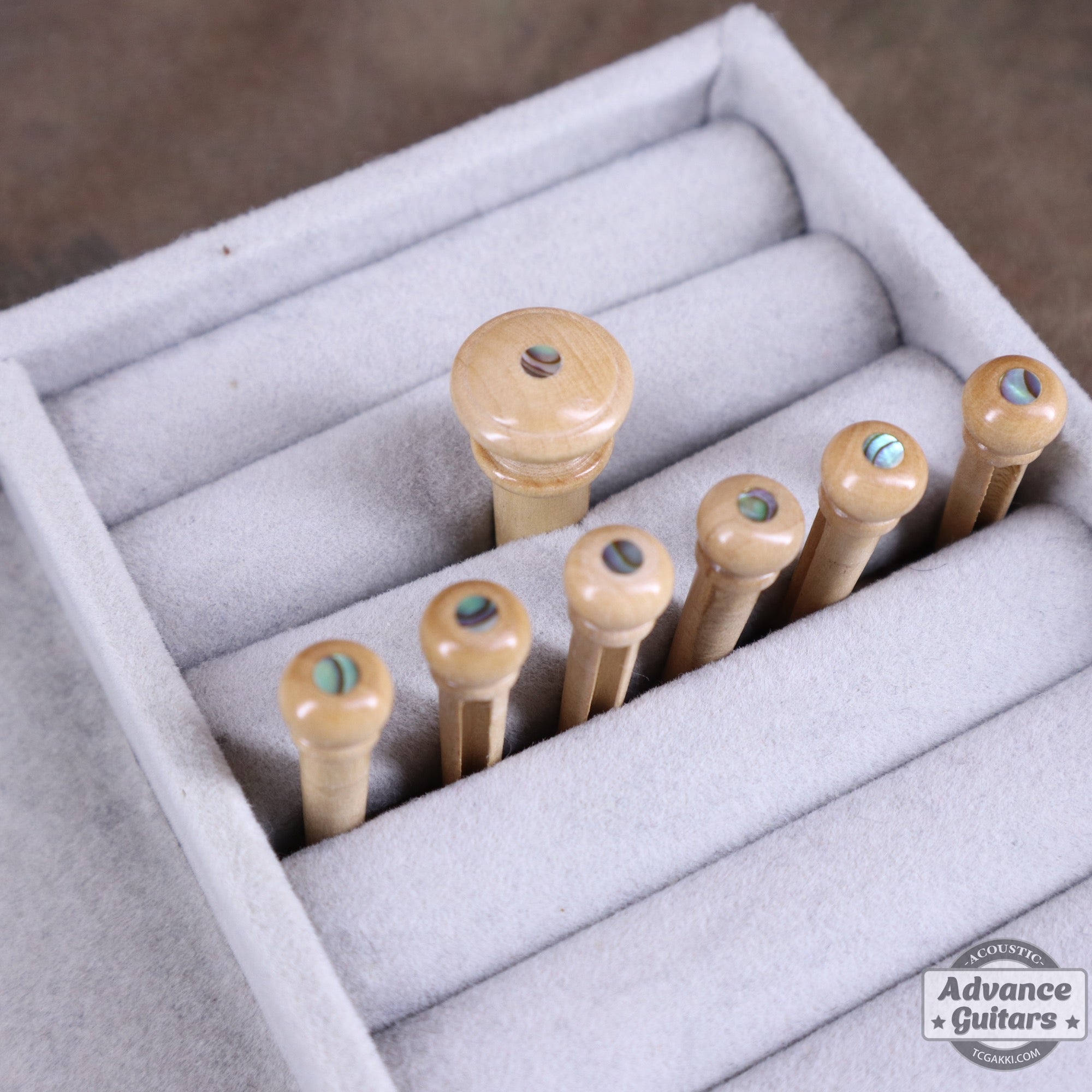 Preciso Wood Bridge Pin & End Pin Set(Boxwood & Abalone Dot) - TC楽器 - TCGAKKI