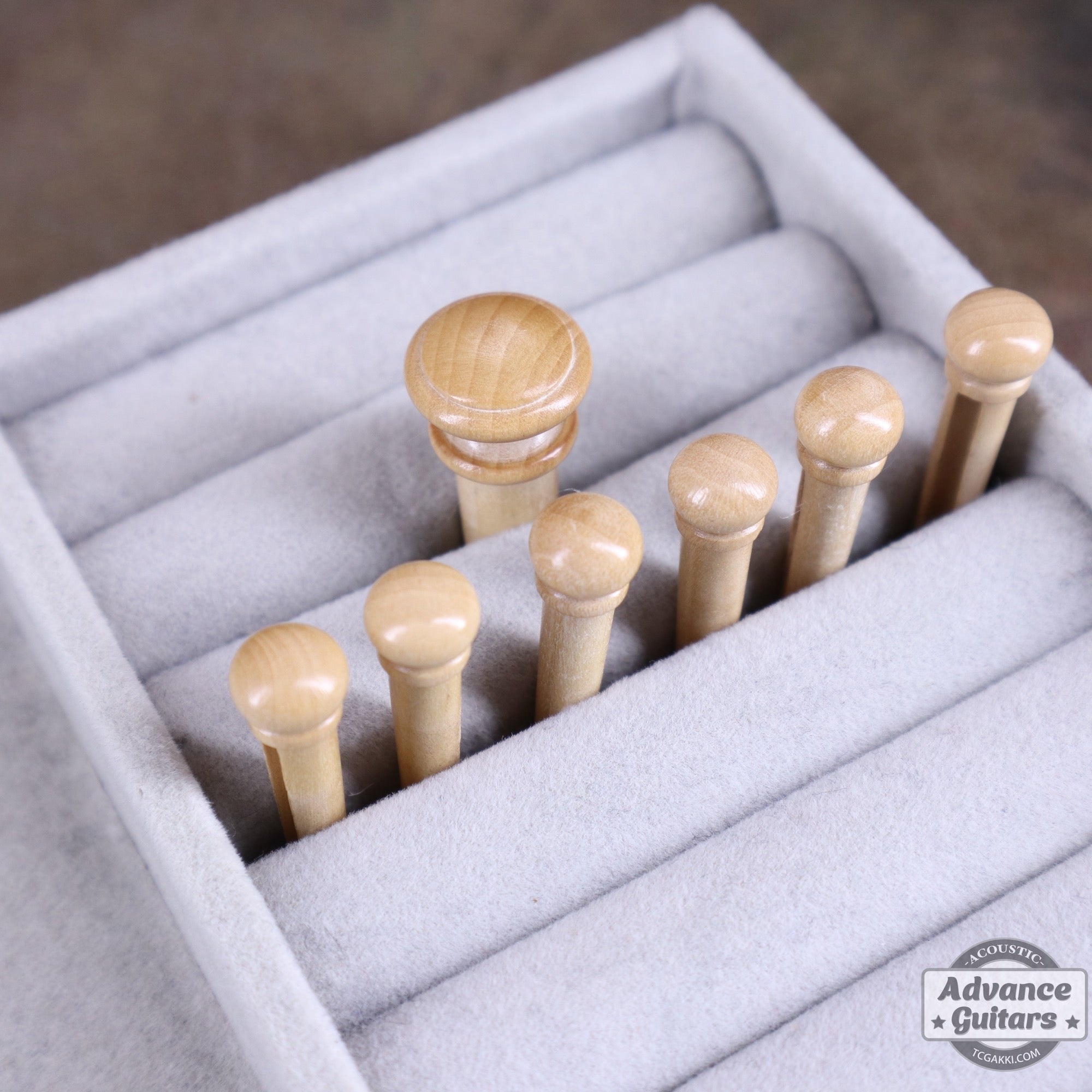 Preciso Wood Bridge Pin & End Pin Set(Boxwood Plain) - TC楽器 - TCGAKKI