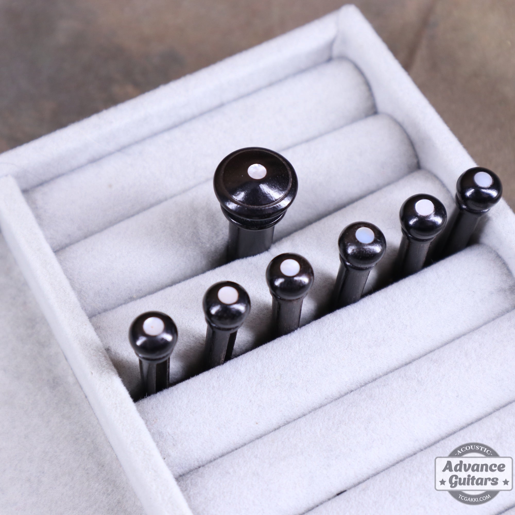 Preciso Wood Bridge Pin & End Pin Set(Ebony & Mother of Pearl Dot) - TC楽器 - TCGAKKI