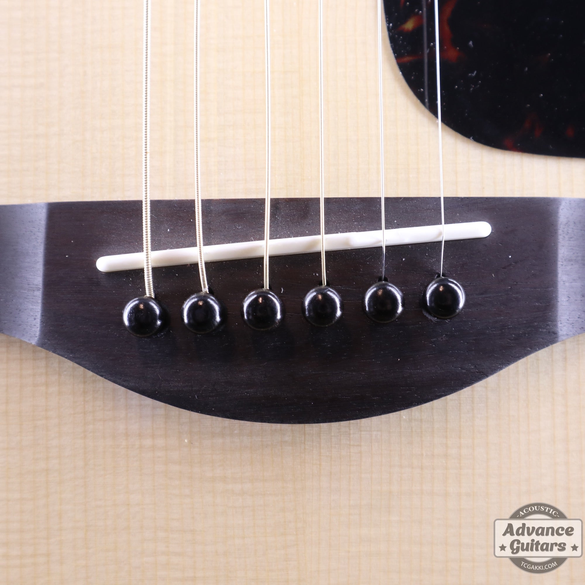 Preciso Wood Bridge Pin & End Pin Set(Ebony Plain) - TC楽器 - TCGAKKI