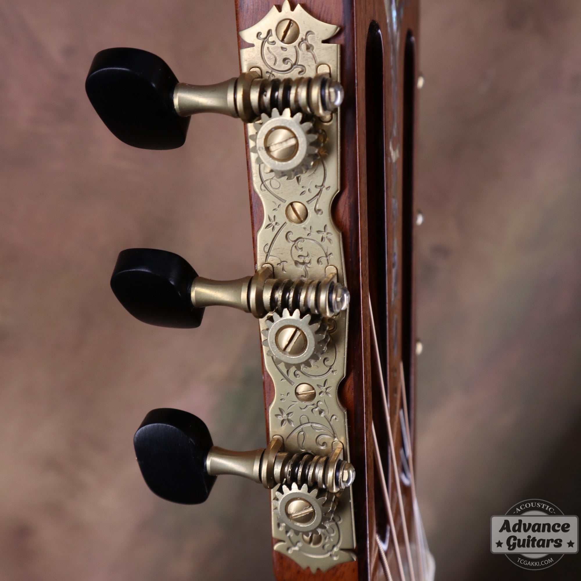 RAG - 120 - TC楽器 - TCGAKKI