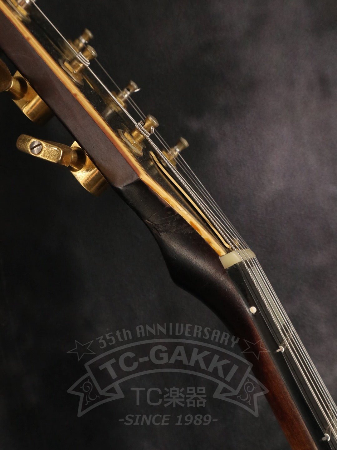 RD Artist - TC楽器 - TCGAKKI