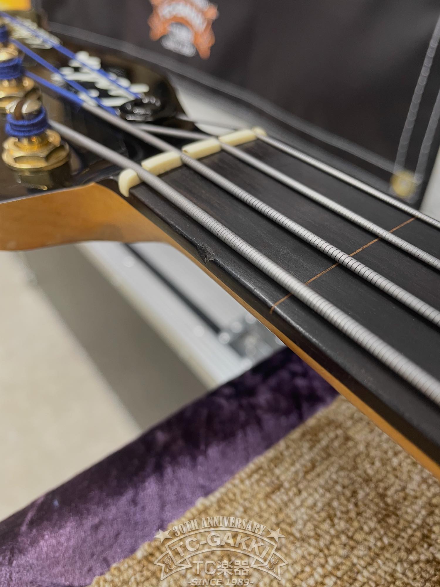 Godin LR Baggs Model Semi-Acoustic Fretless Bass