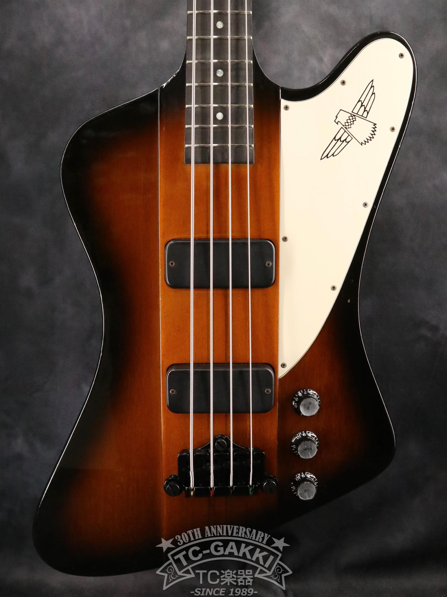 Gibson 2001 Thunderbird IV