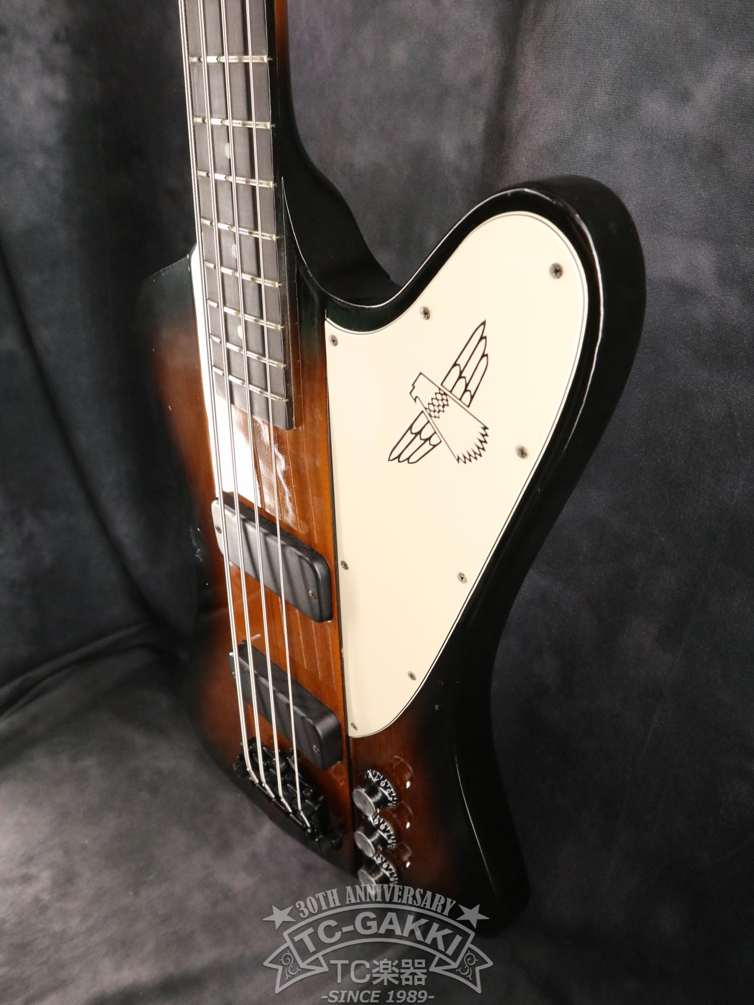 Gibson 2001 Thunderbird IV