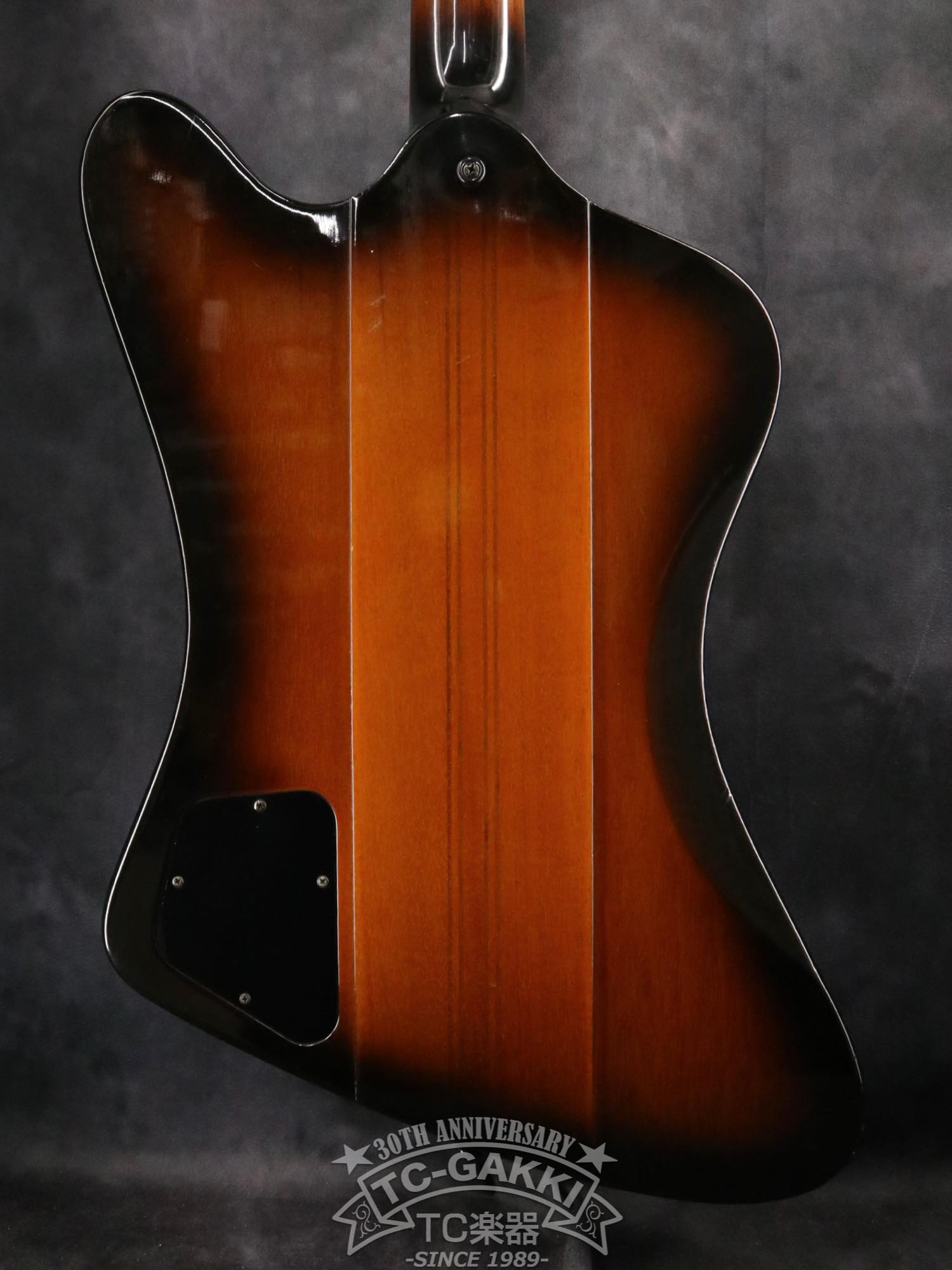 Gibson 2001 Thunderbird IV