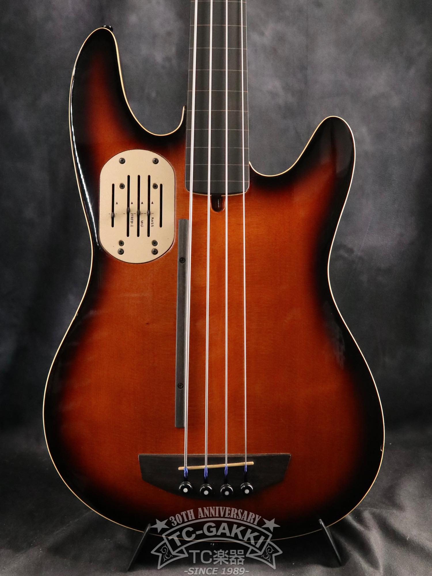 Godin LR Baggs Model Semi-Acoustic Fretless Bass