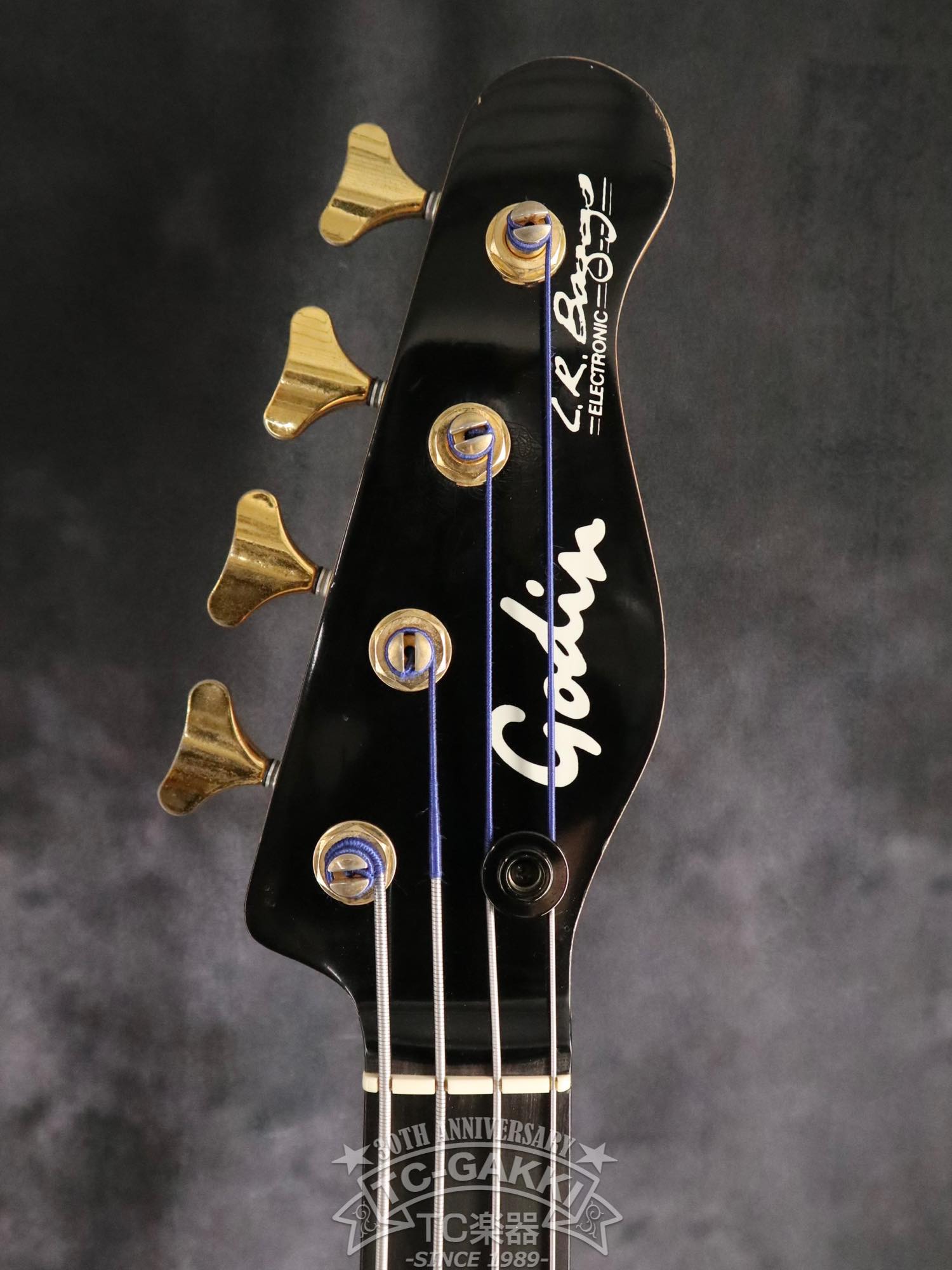 Godin LR Baggs Model Semi-Acoustic Fretless Bass