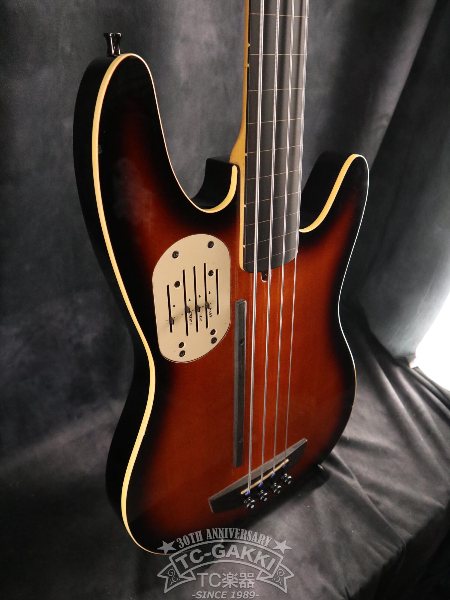 Godin LR Baggs Model Semi-Acoustic Fretless Bass