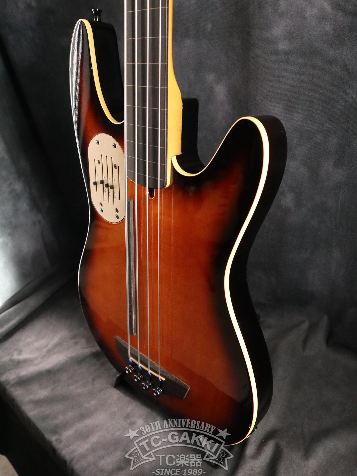 Godin LR Baggs Model Semi-Acoustic Fretless Bass