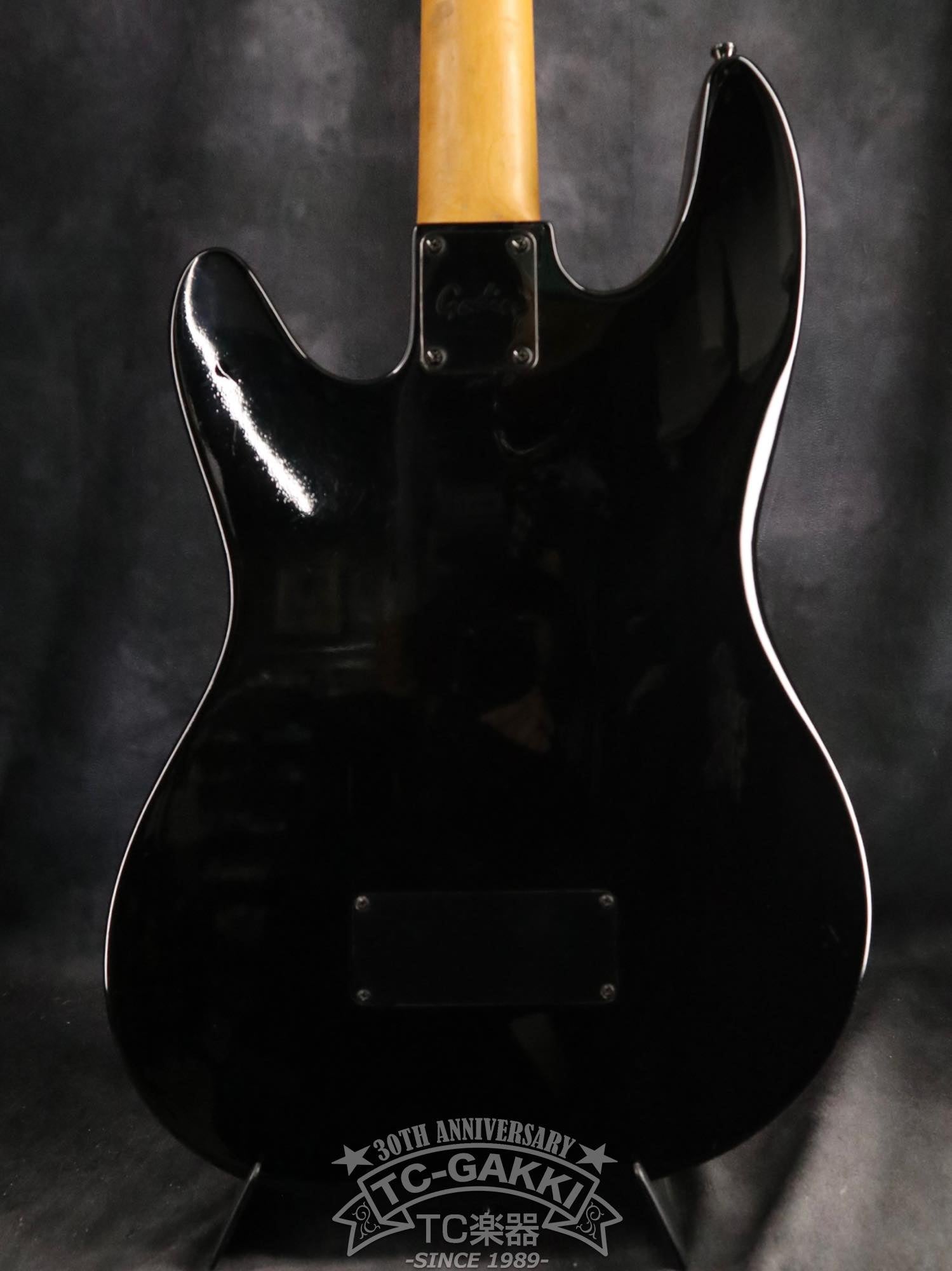 Godin LR Baggs Model Semi-Acoustic Fretless Bass