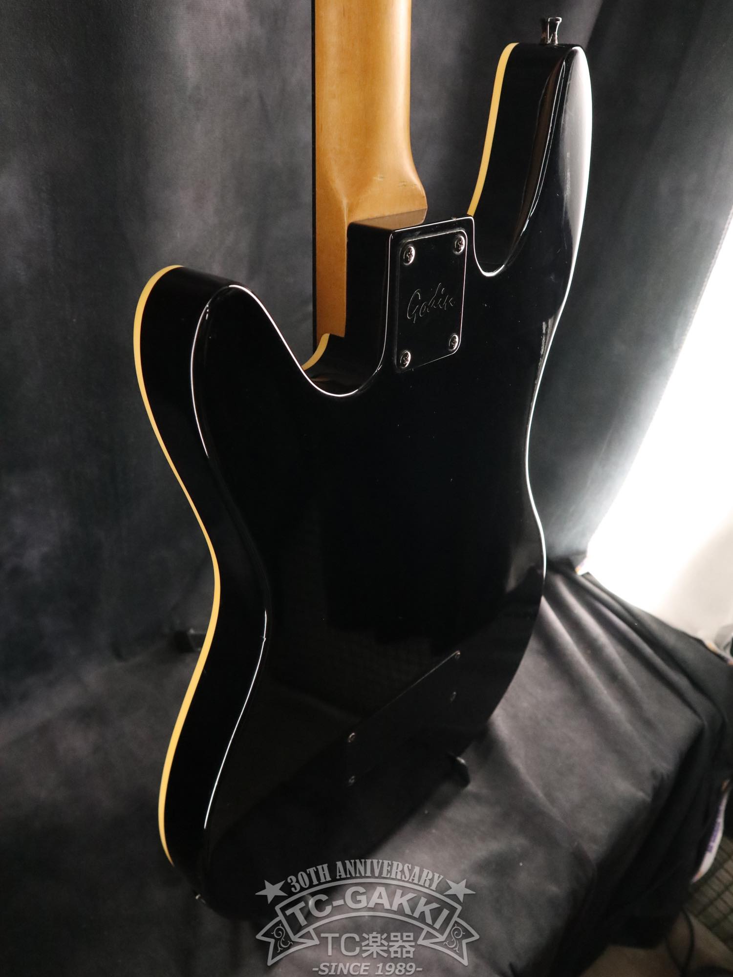 Godin LR Baggs Model Semi-Acoustic Fretless Bass