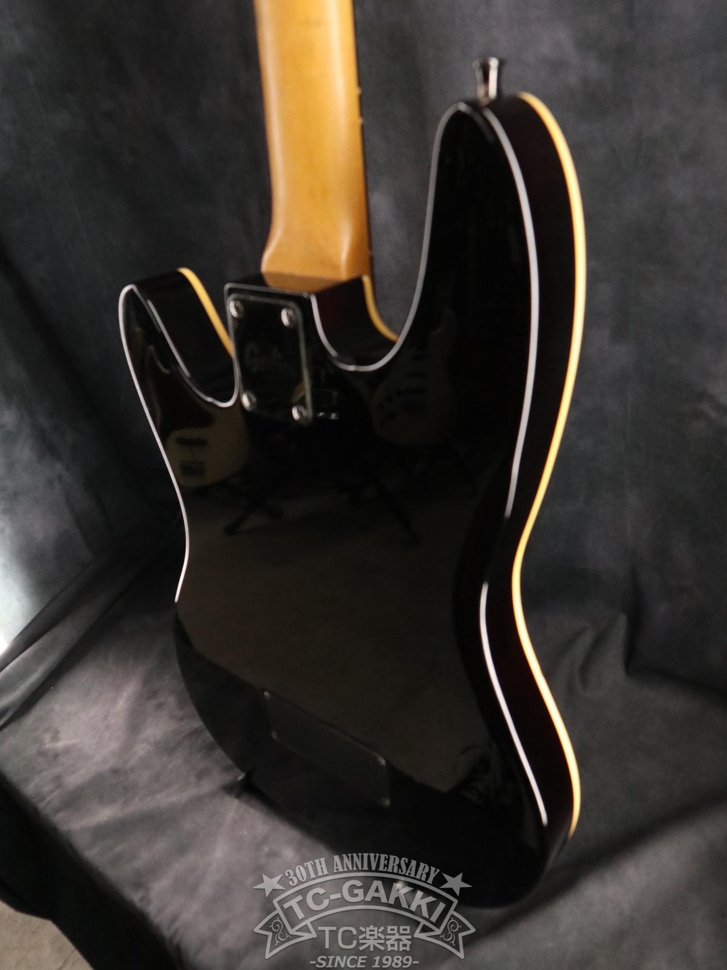 Godin LR Baggs Model Semi-Acoustic Fretless Bass