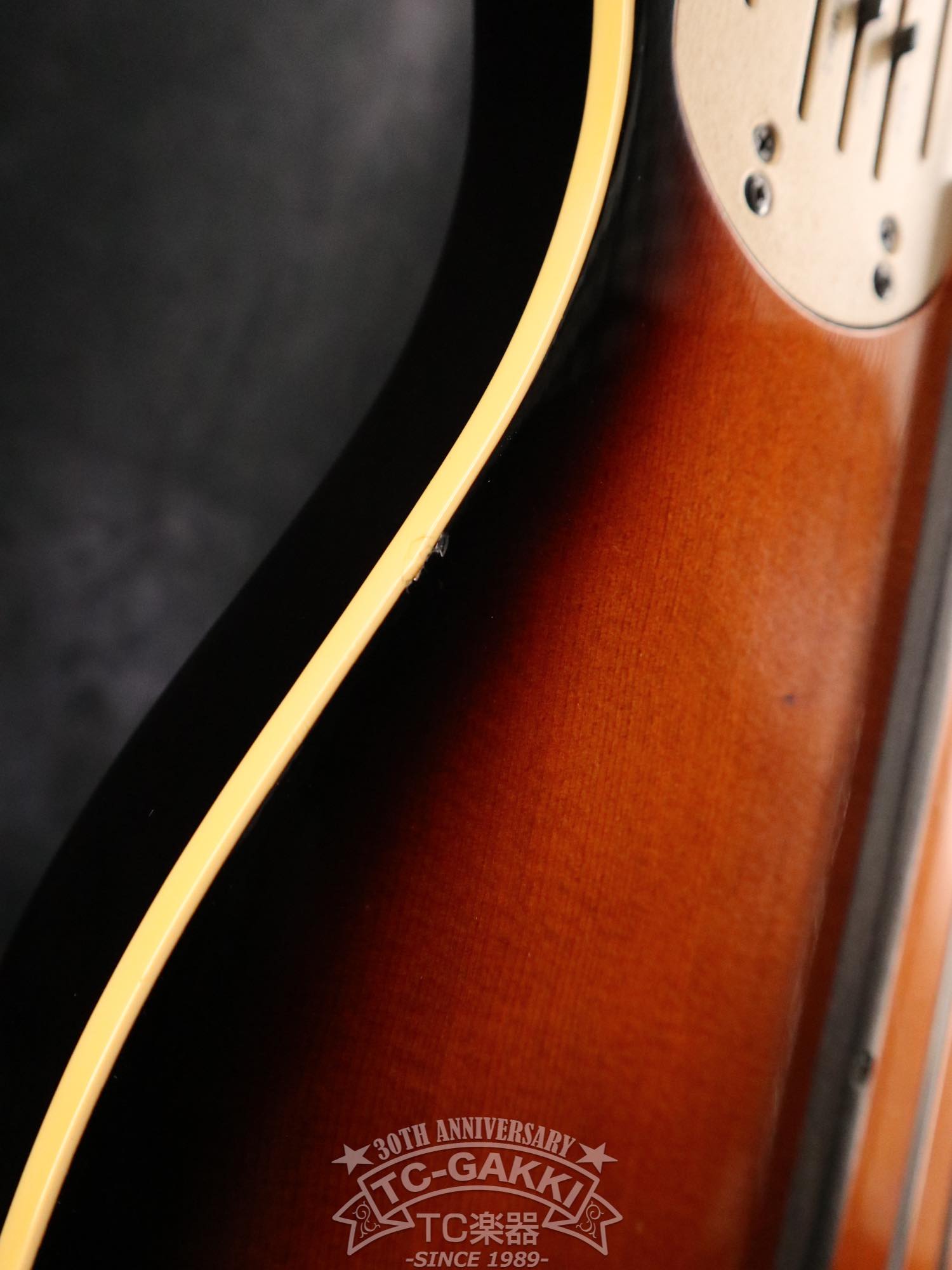 Godin LR Baggs Model Semi-Acoustic Fretless Bass