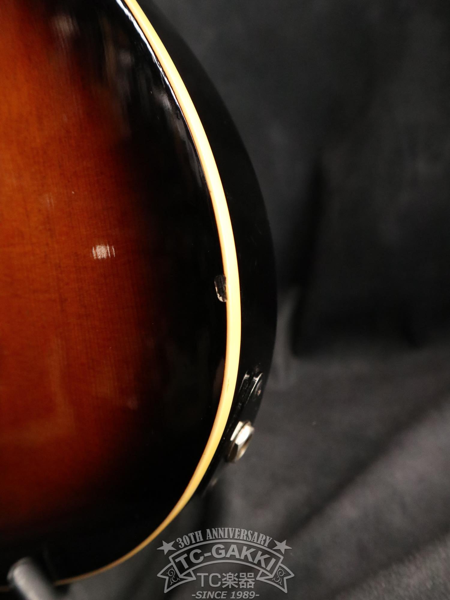 Godin LR Baggs Model Semi-Acoustic Fretless Bass