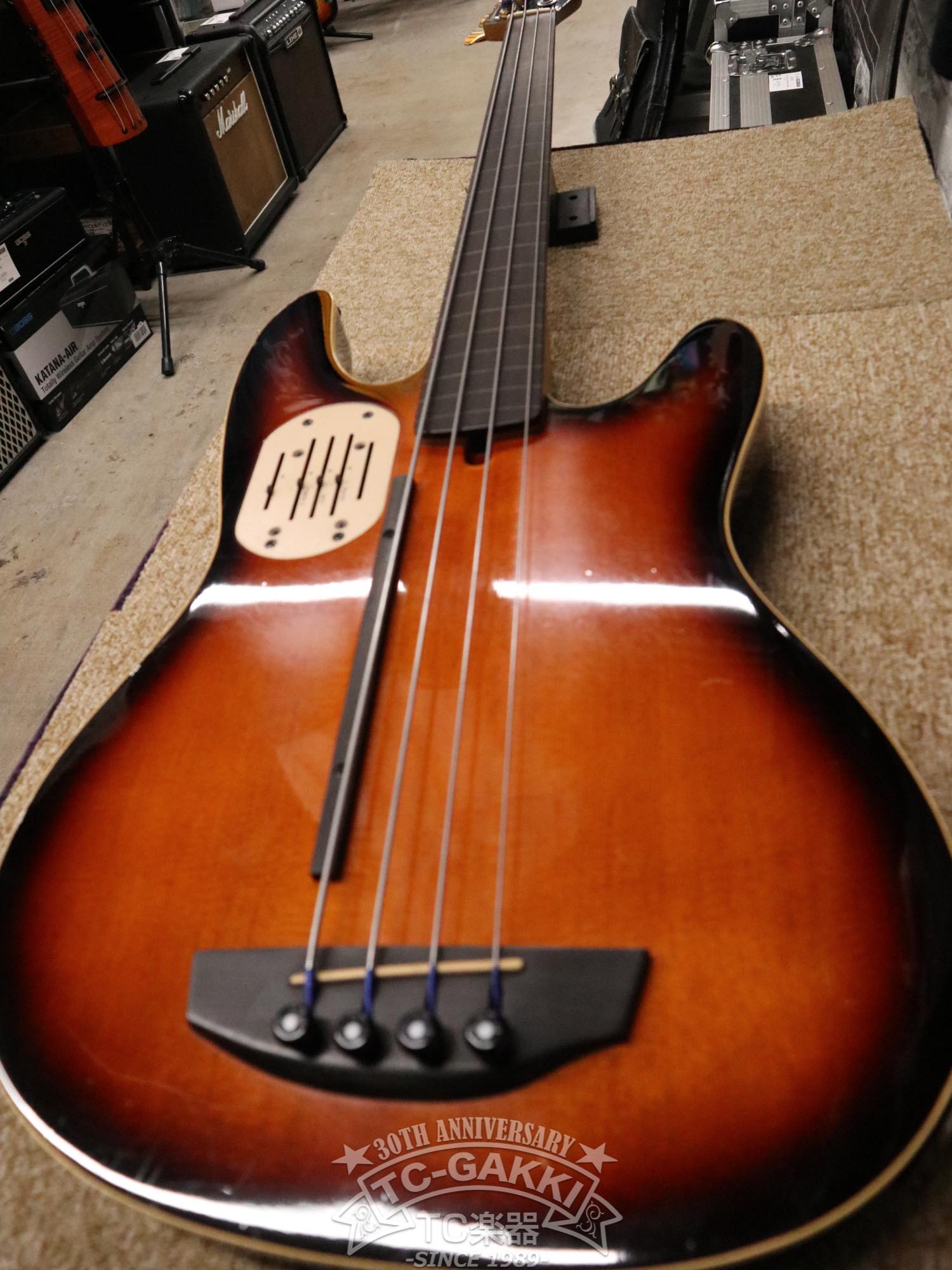 Godin LR Baggs Model Semi-Acoustic Fretless Bass