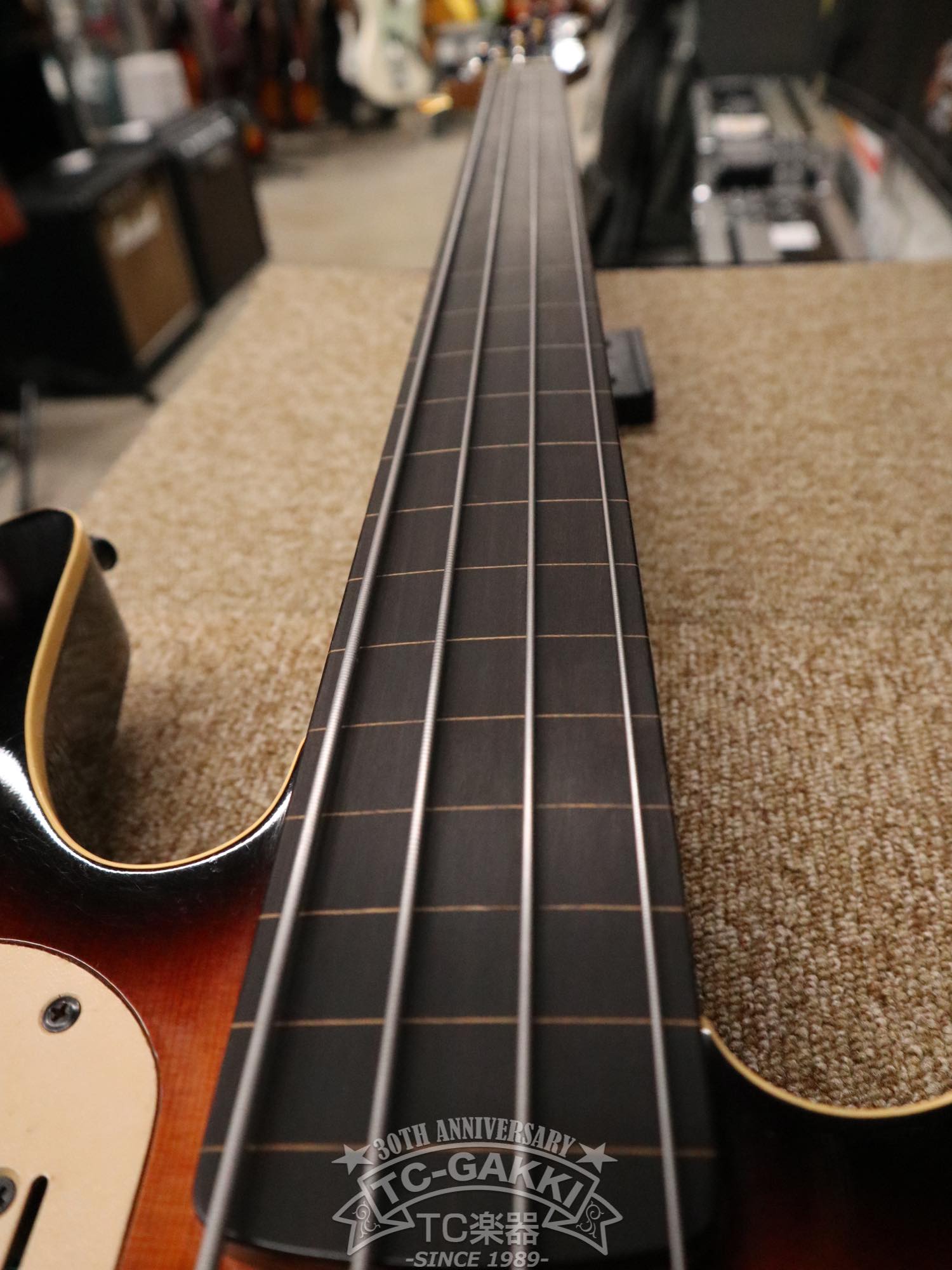 Godin LR Baggs Model Semi-Acoustic Fretless Bass