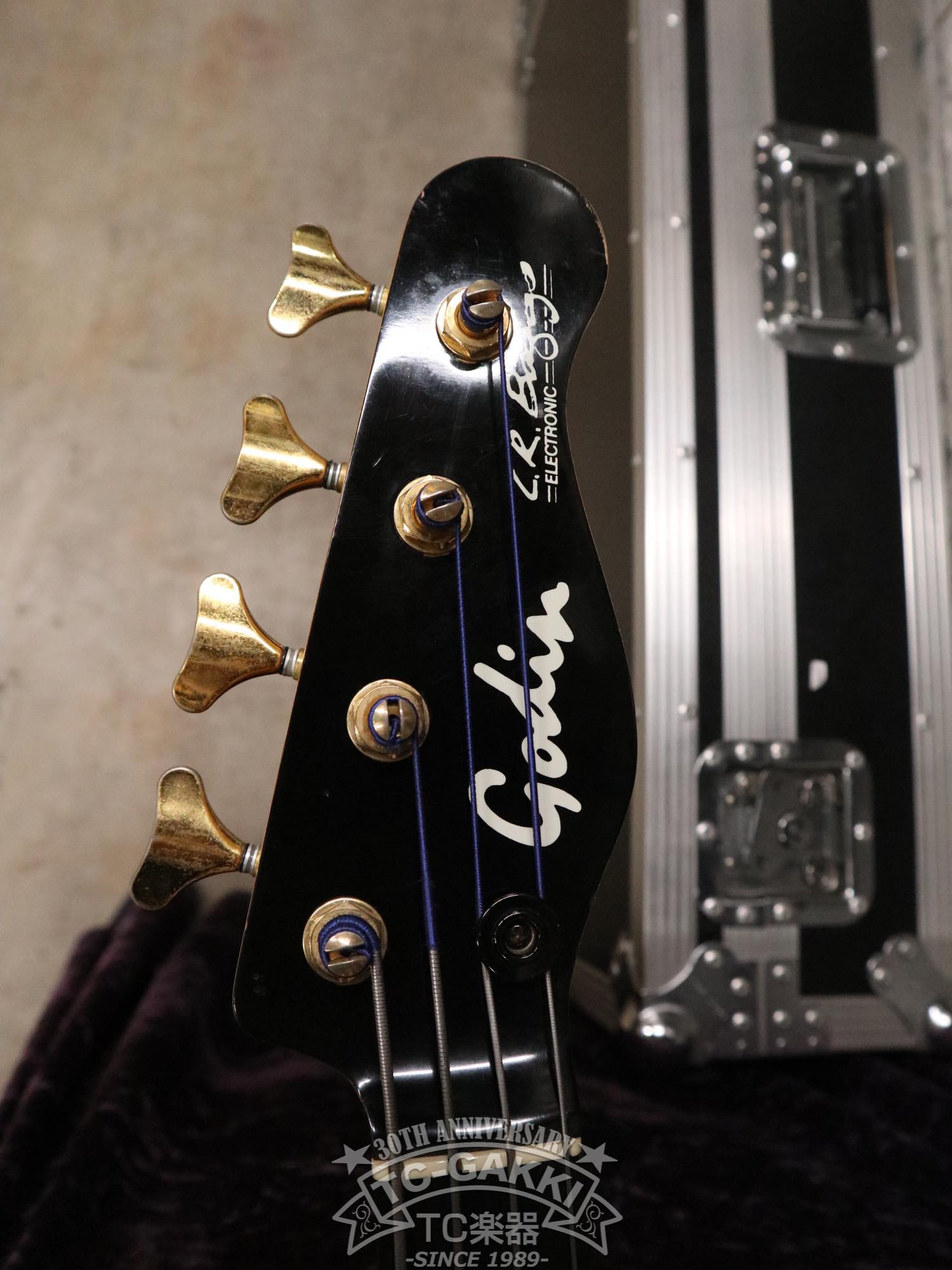 Godin LR Baggs Model Semi-Acoustic Fretless Bass
