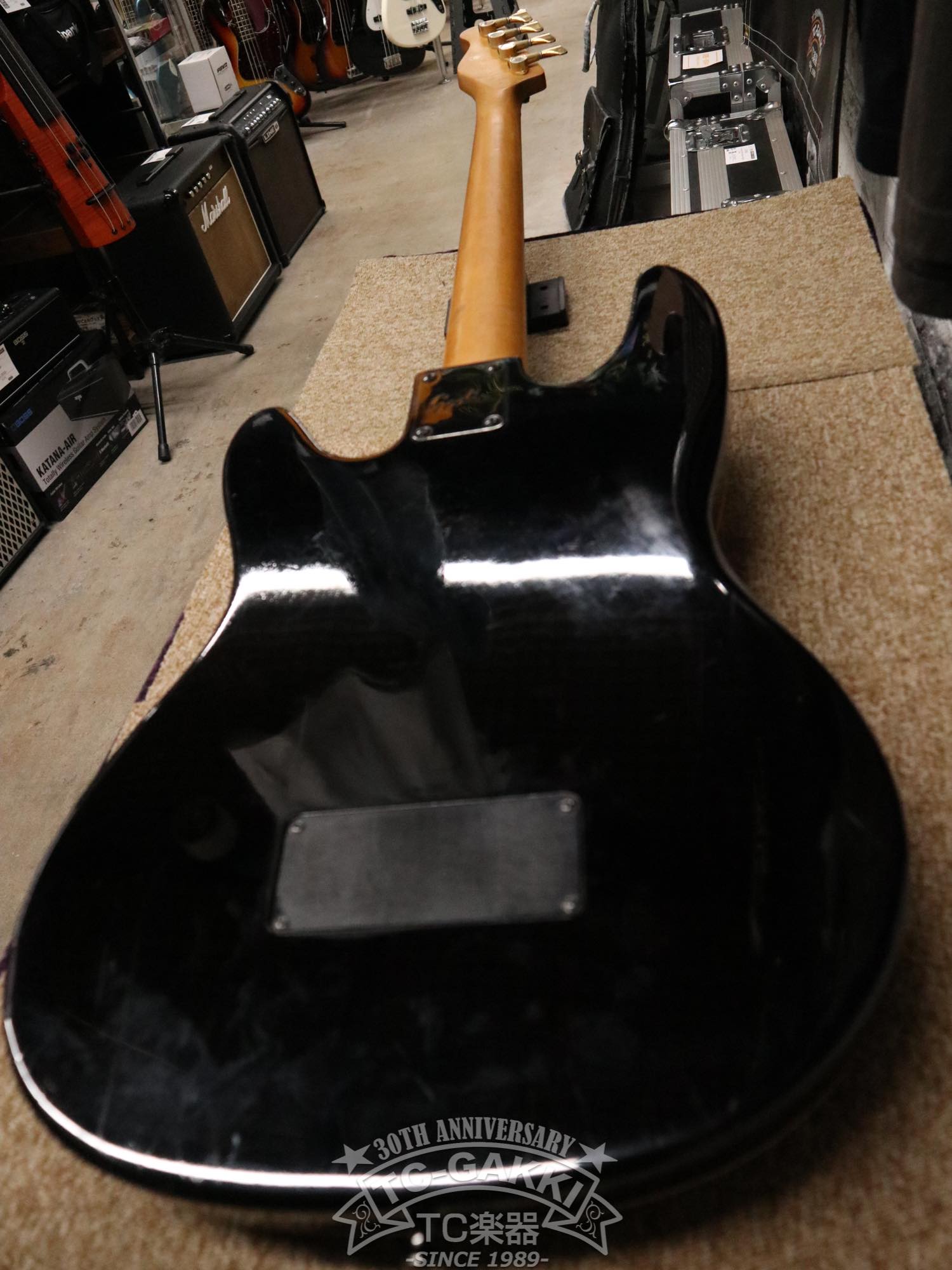 Godin LR Baggs Model Semi-Acoustic Fretless Bass