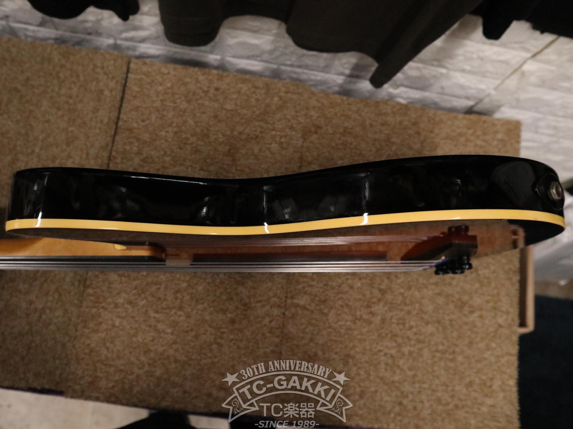 Godin LR Baggs Model Semi-Acoustic Fretless Bass