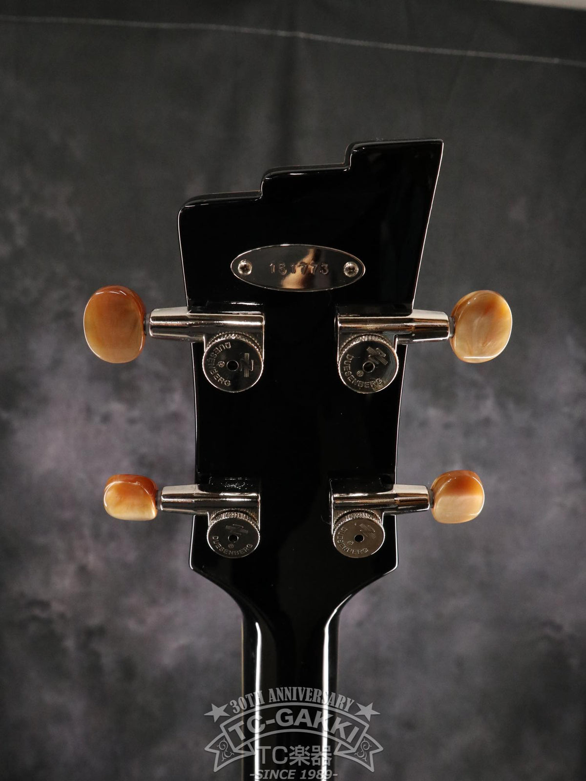 DBV-2T Violon basse
