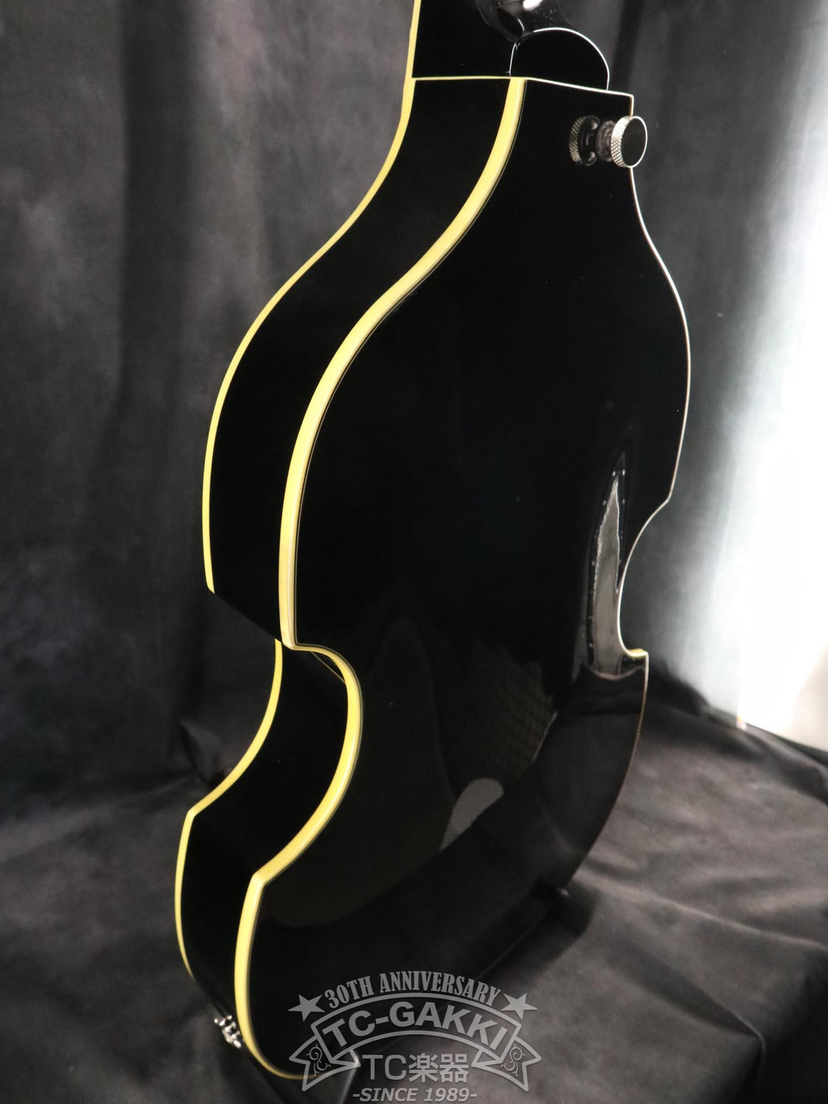 DBV-2T Violon basse
