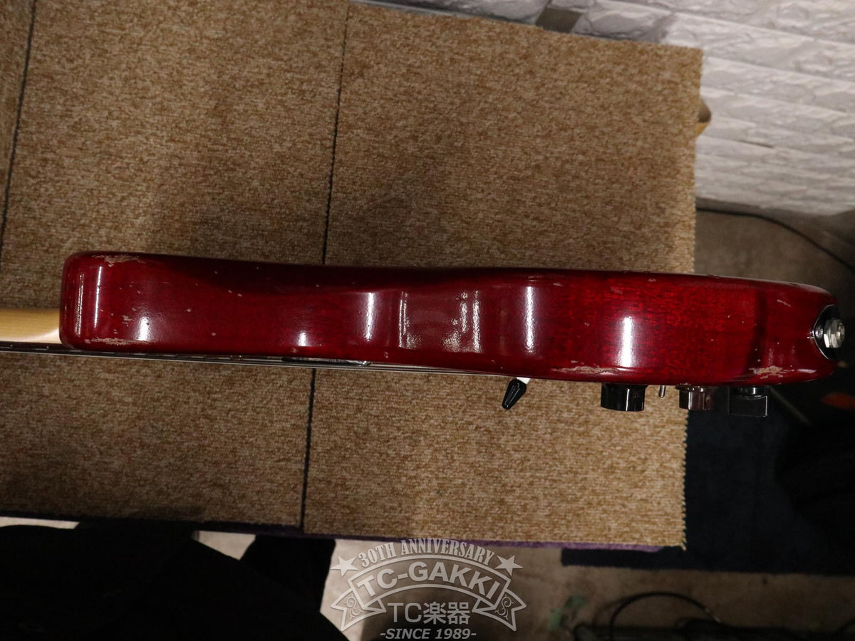 T.S factory 151A-TSSP2 Bass