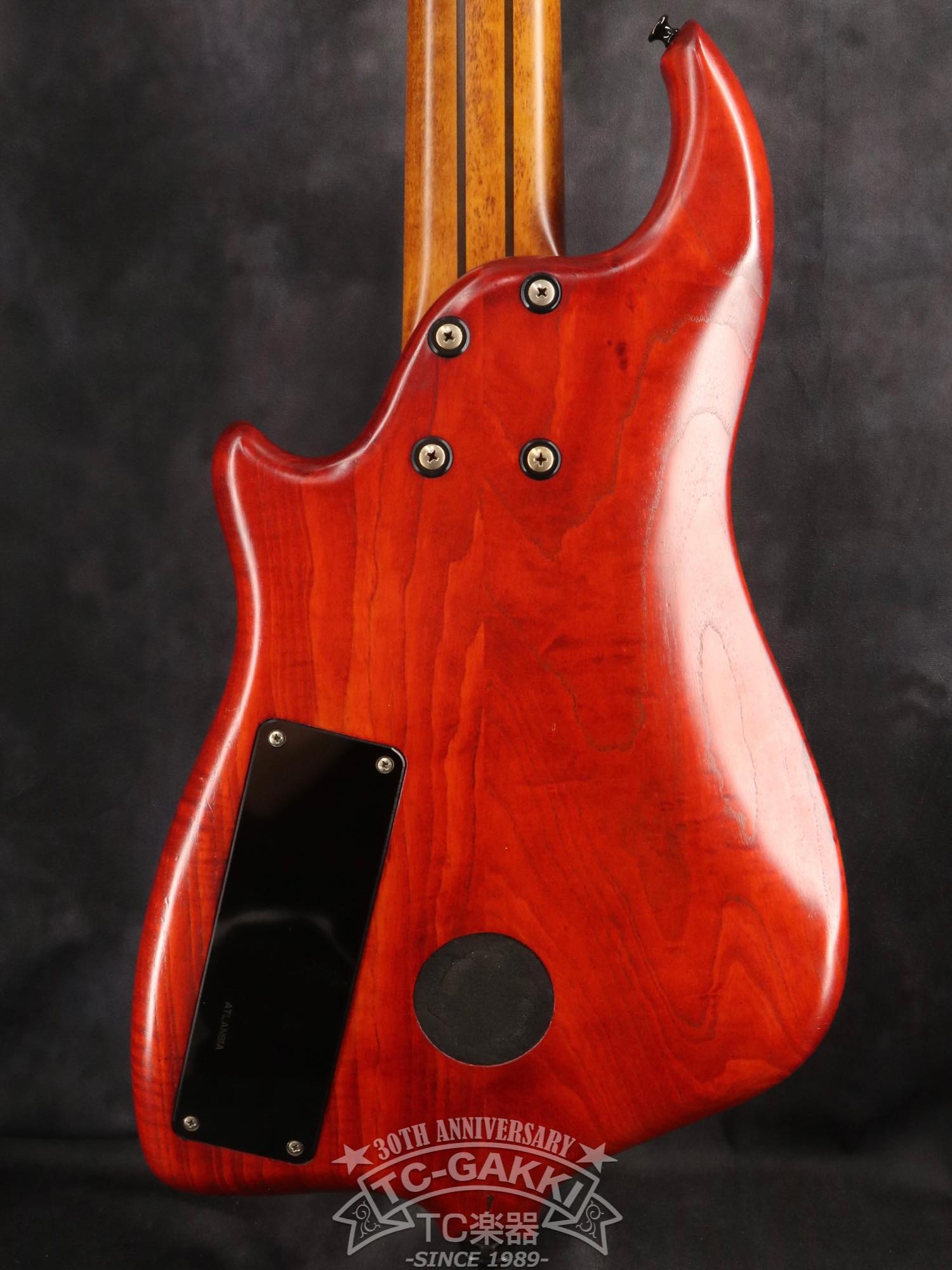 1990 STEALTH SPECIAL FL 5st