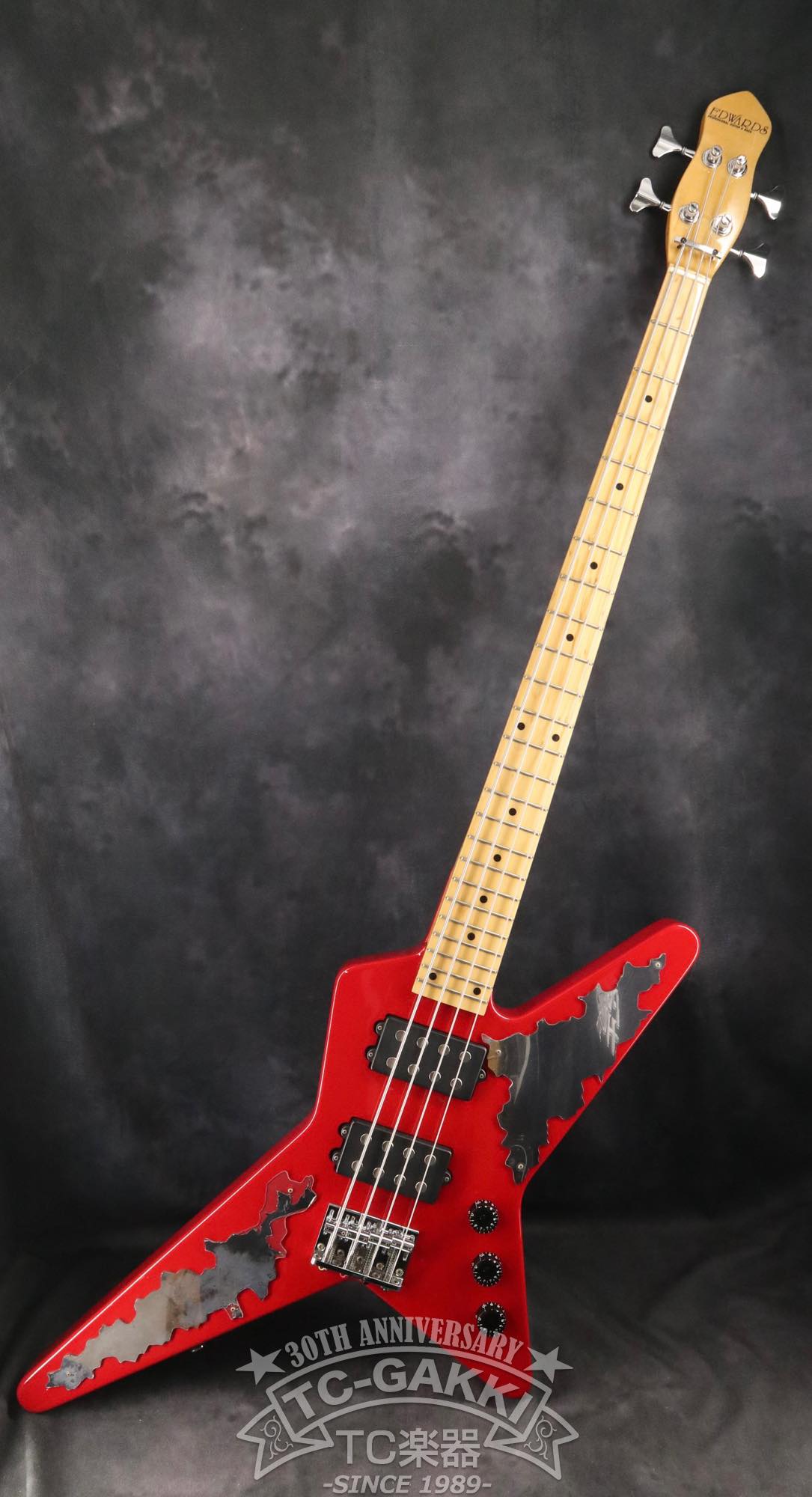EDWARDS E-RS-85B