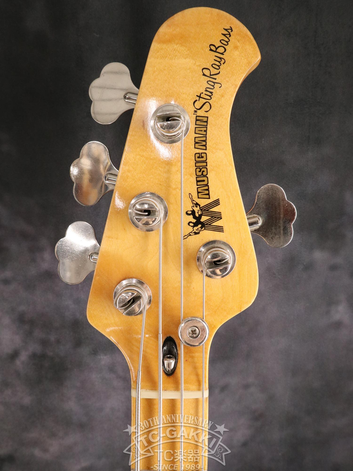 MUSIC MAN 1977 StingRay