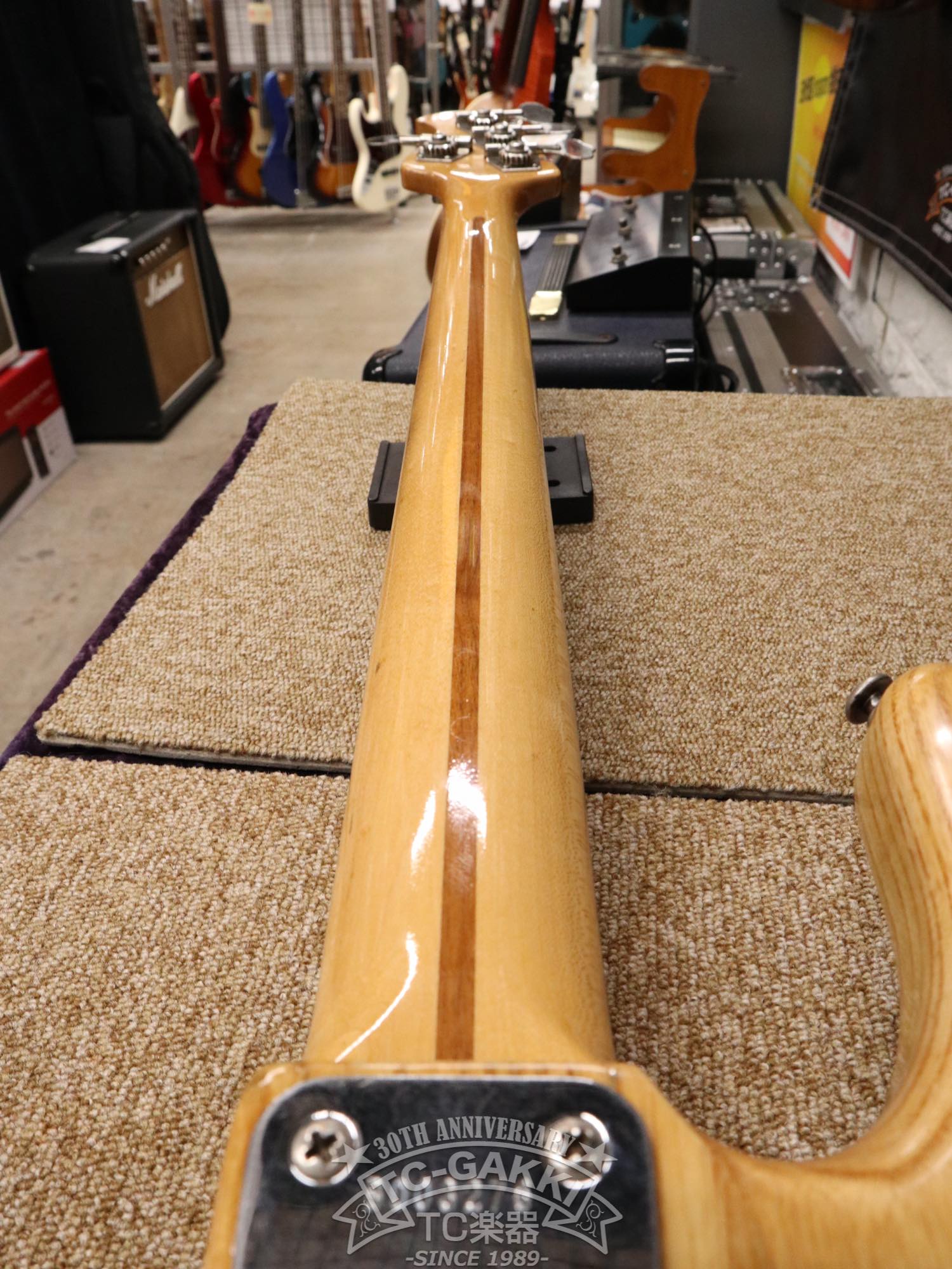 MUSIC MAN 1977 StingRay