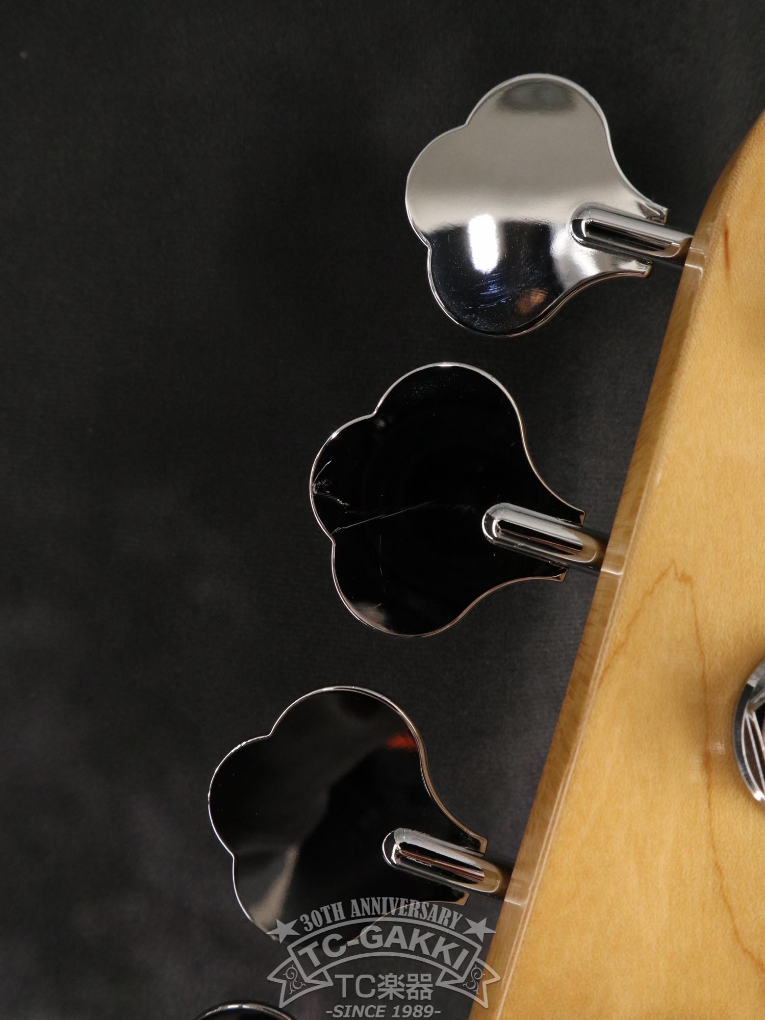 American Elite Precision Bass