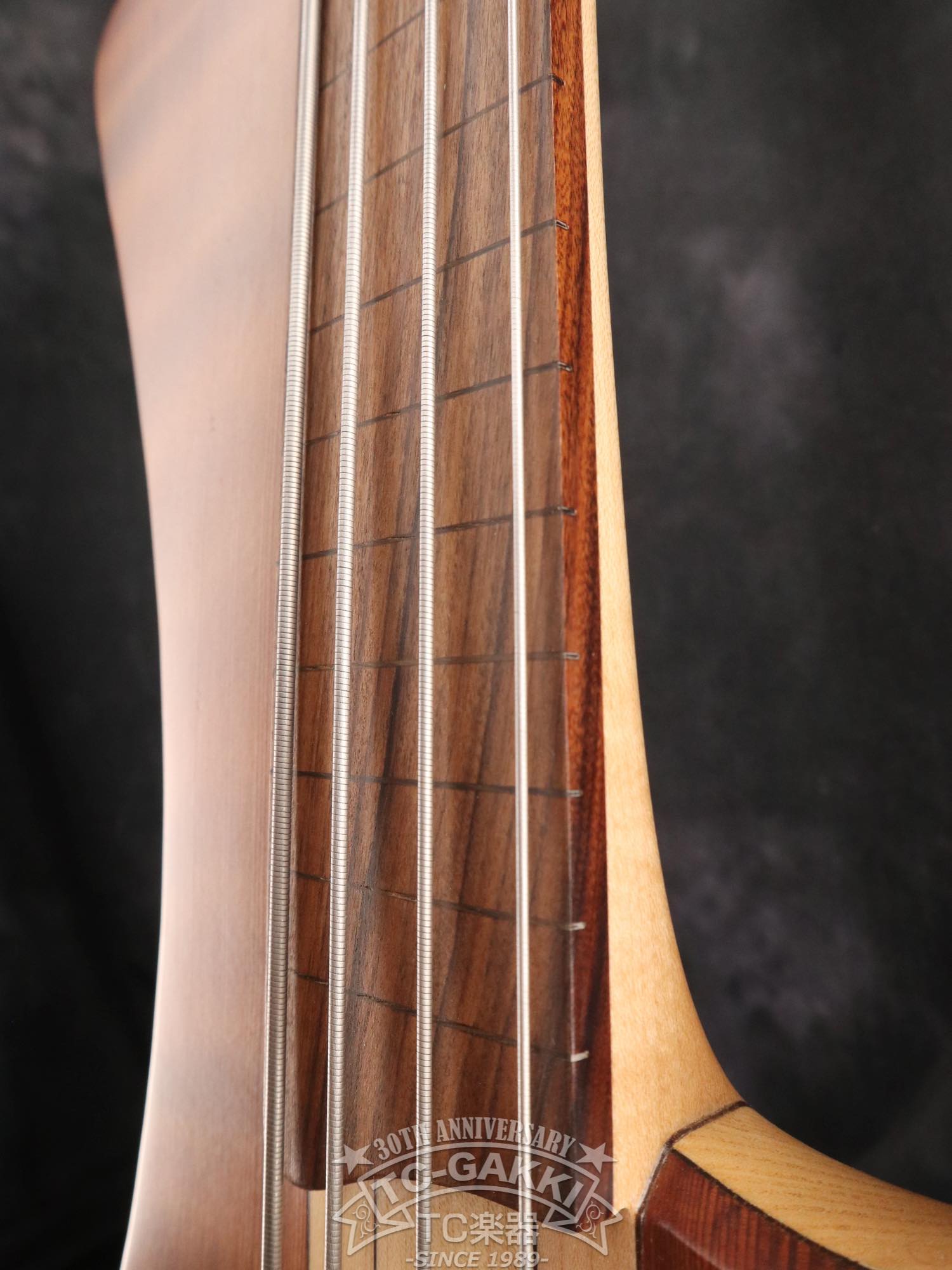 2024 Nouvelle Extreman Fretless 4