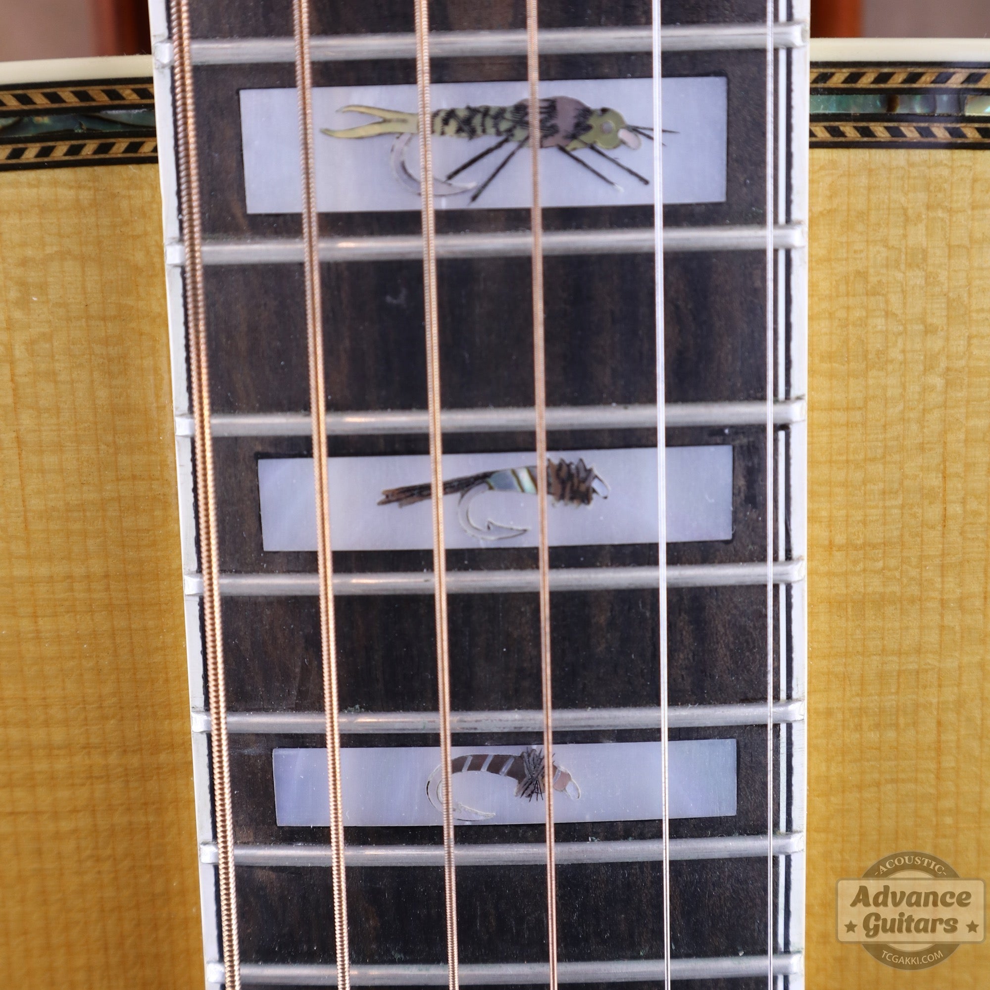 Ren Ferguson【新品】Montana Rivers Masterpieces MT - Jumbo 3 - TC楽器 - TCGAKKI