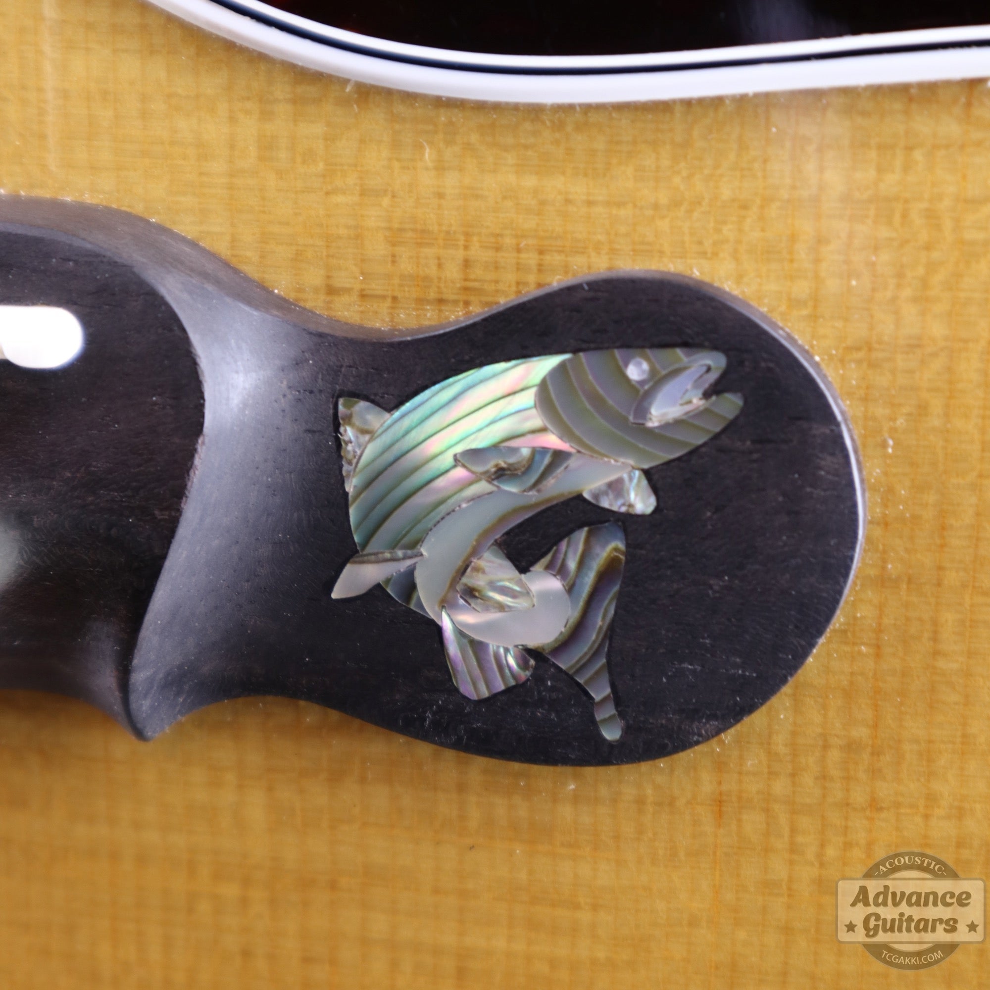 Ren Ferguson【新品】Montana Rivers Masterpieces MT - Jumbo 3 - TC楽器 - TCGAKKI